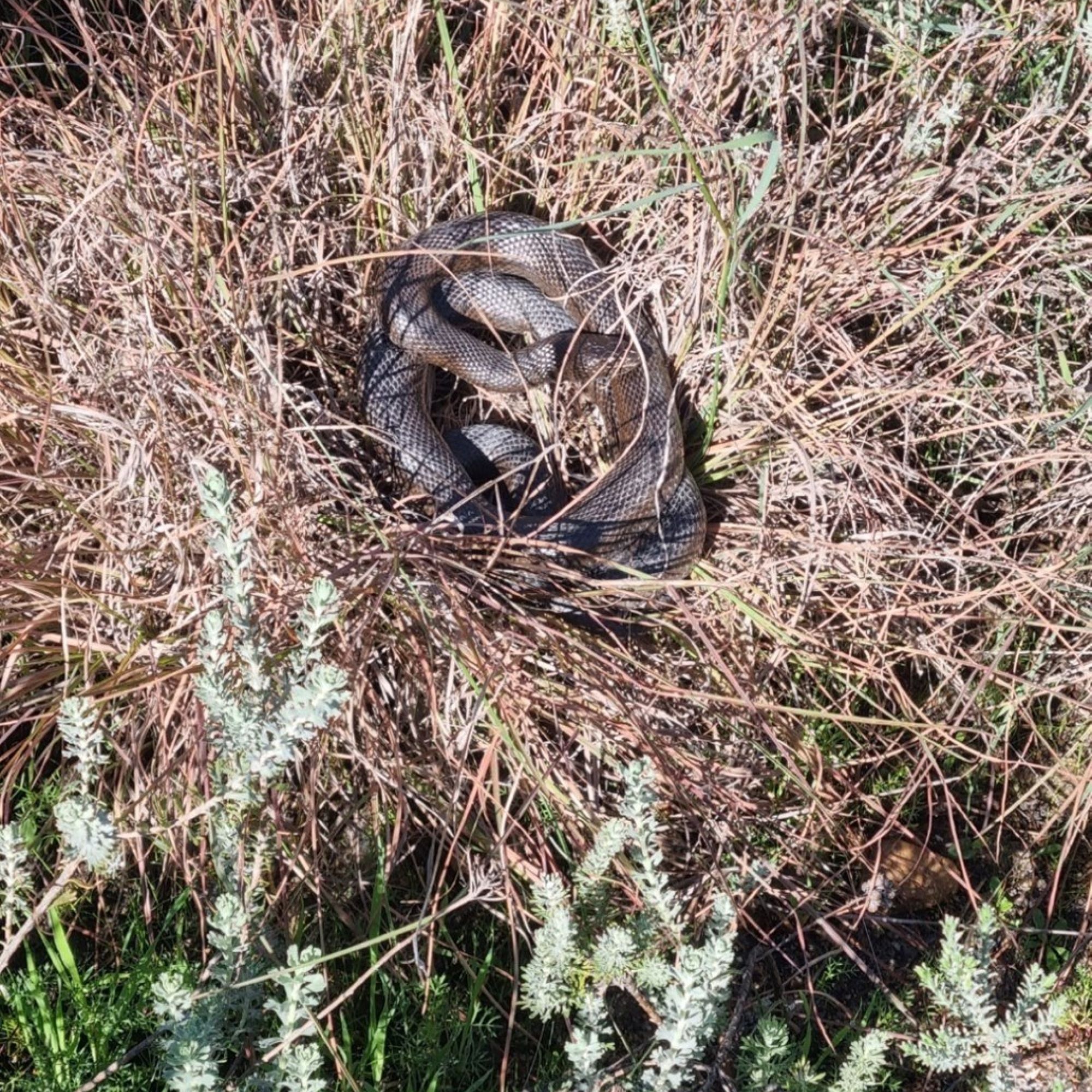 Image related to website content Image related to website content