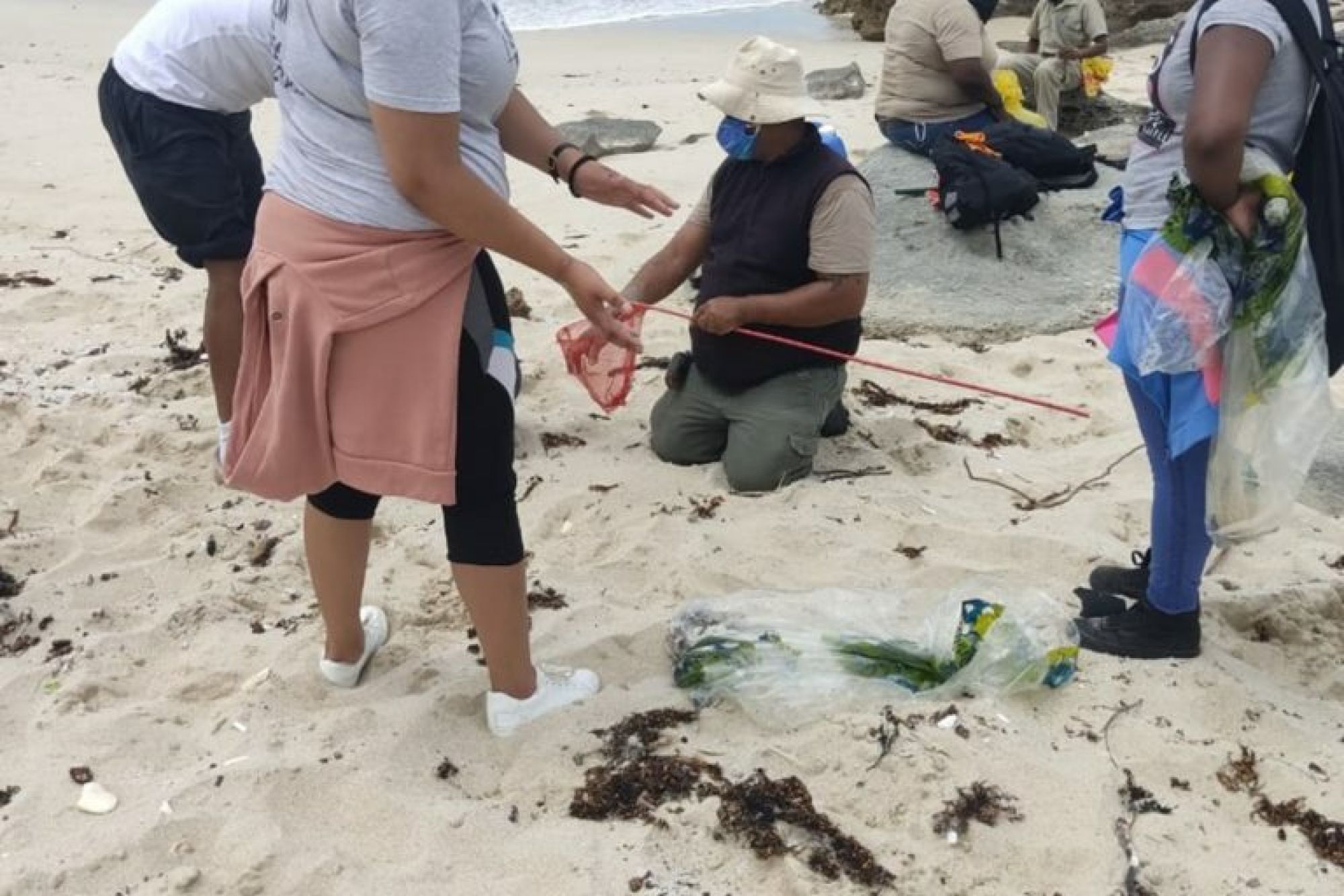 Image related to website content Image related to website content