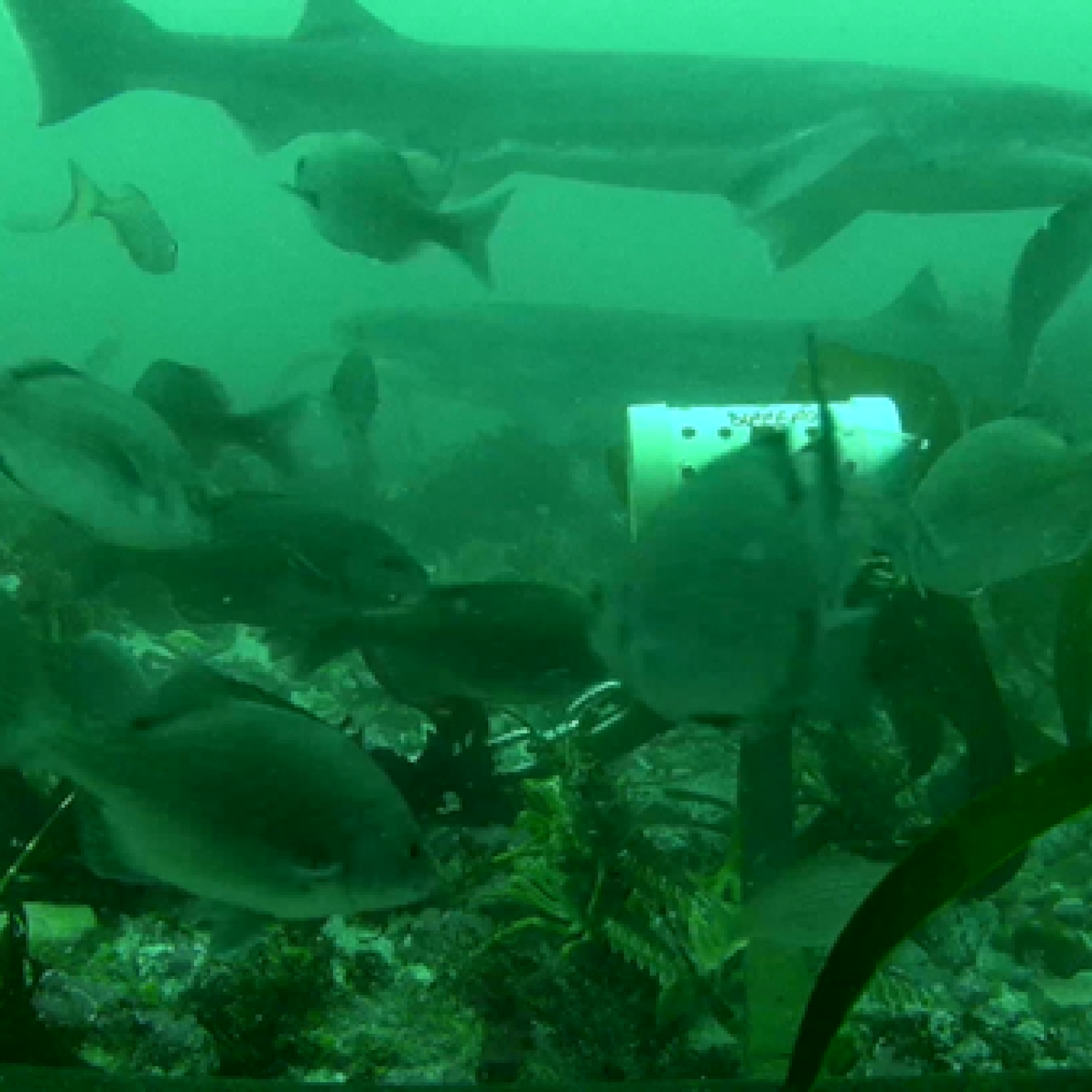 Image related to website content Image related to website content