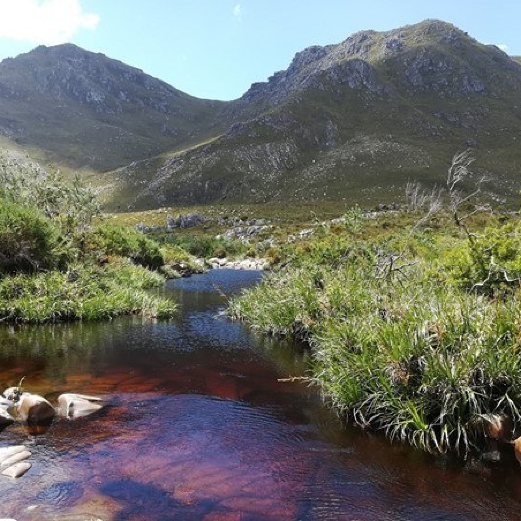 Image related to website content Image related to website content