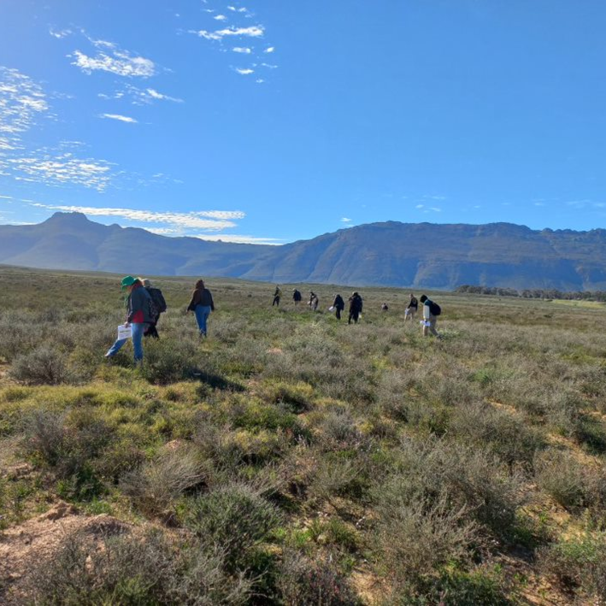 Image related to website content Image related to website content