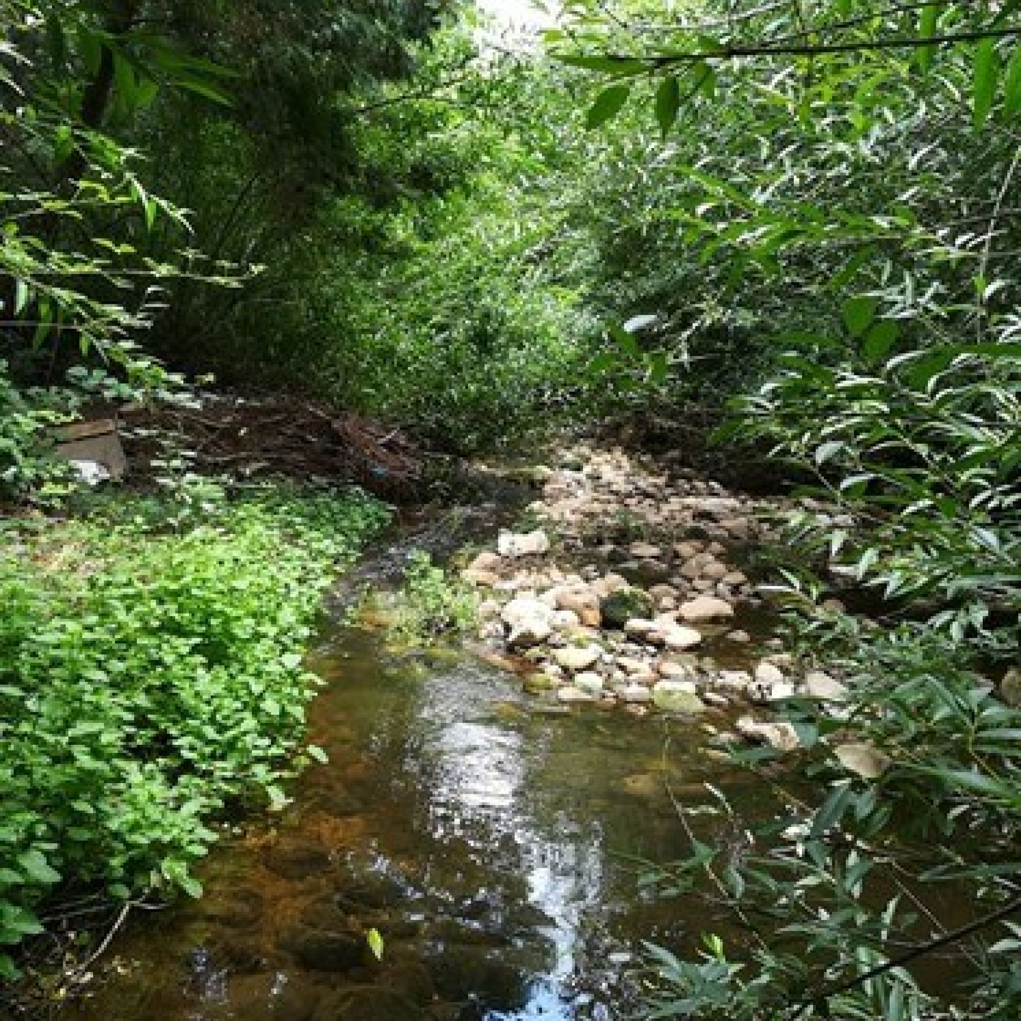 Image related to website content Image related to website content