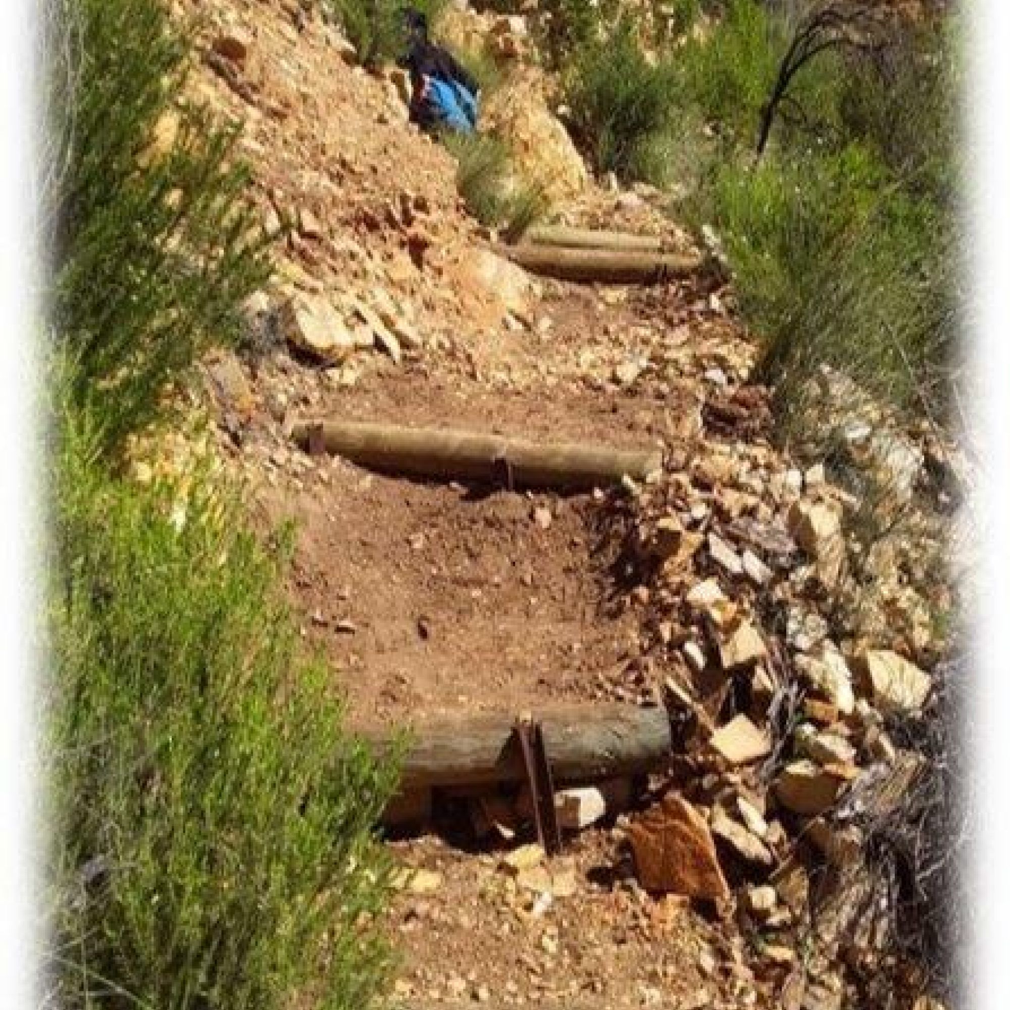 Image related to website content Image related to website content