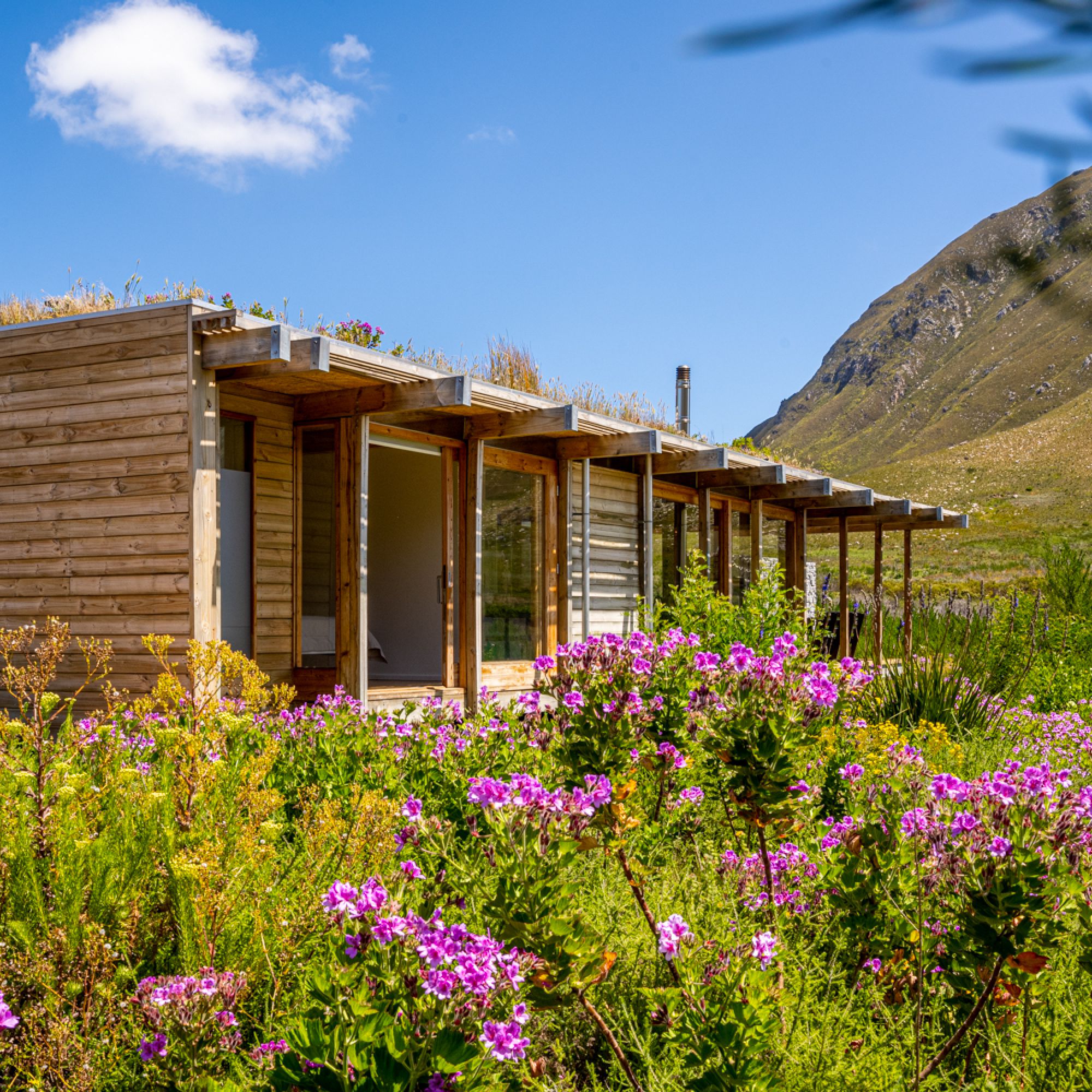 Kogelberg Mbali One of the six sleeper eco cabins nestled in the heart of the Cape Floristic Kingdom