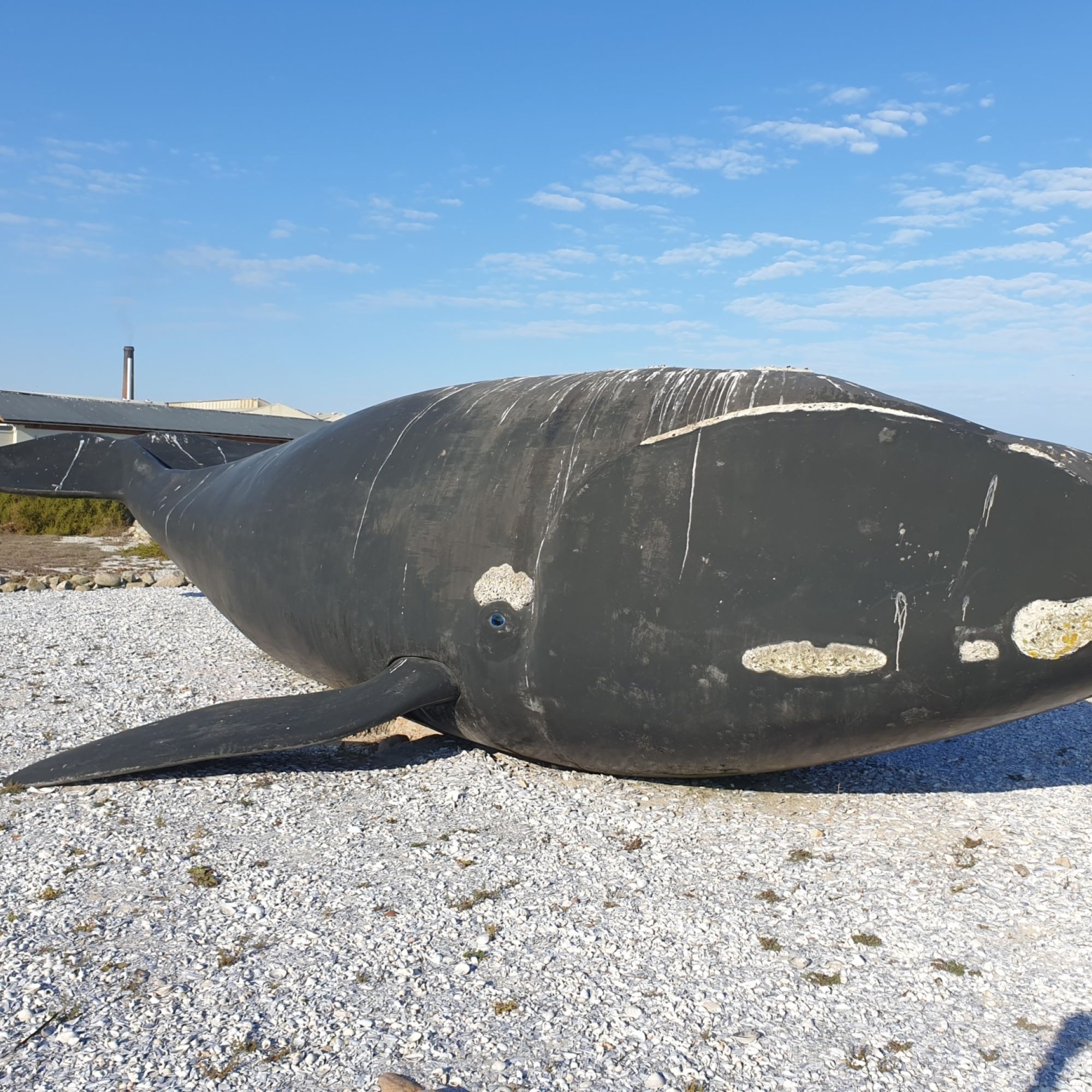 Image related to website content Image related to website content