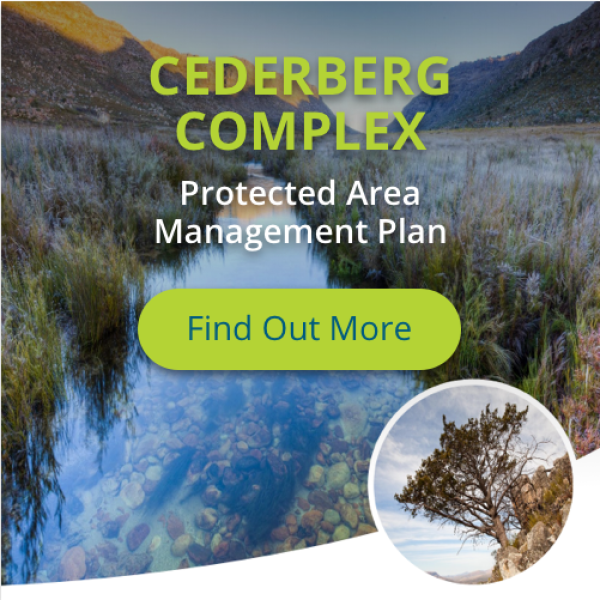 Deals Banner03 Deals Banner03