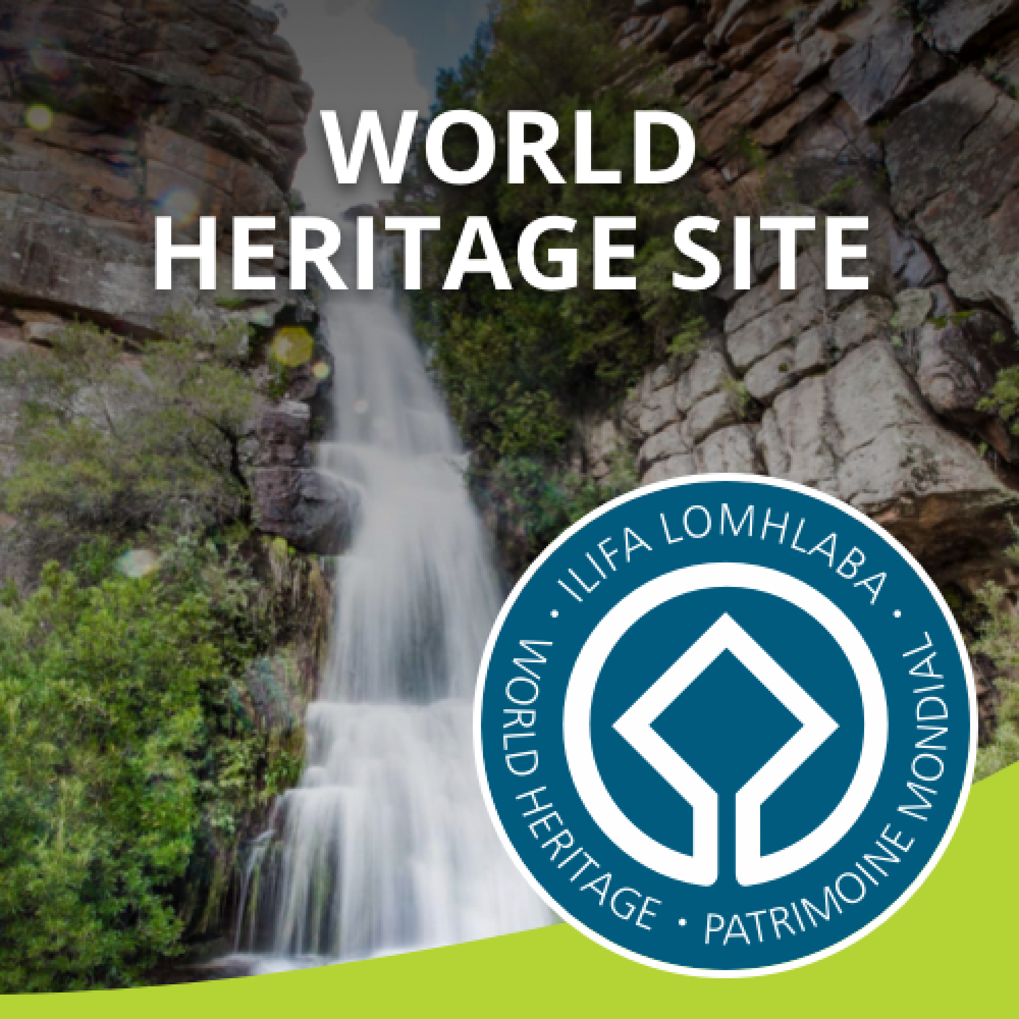 Image related to website content Image related to website content