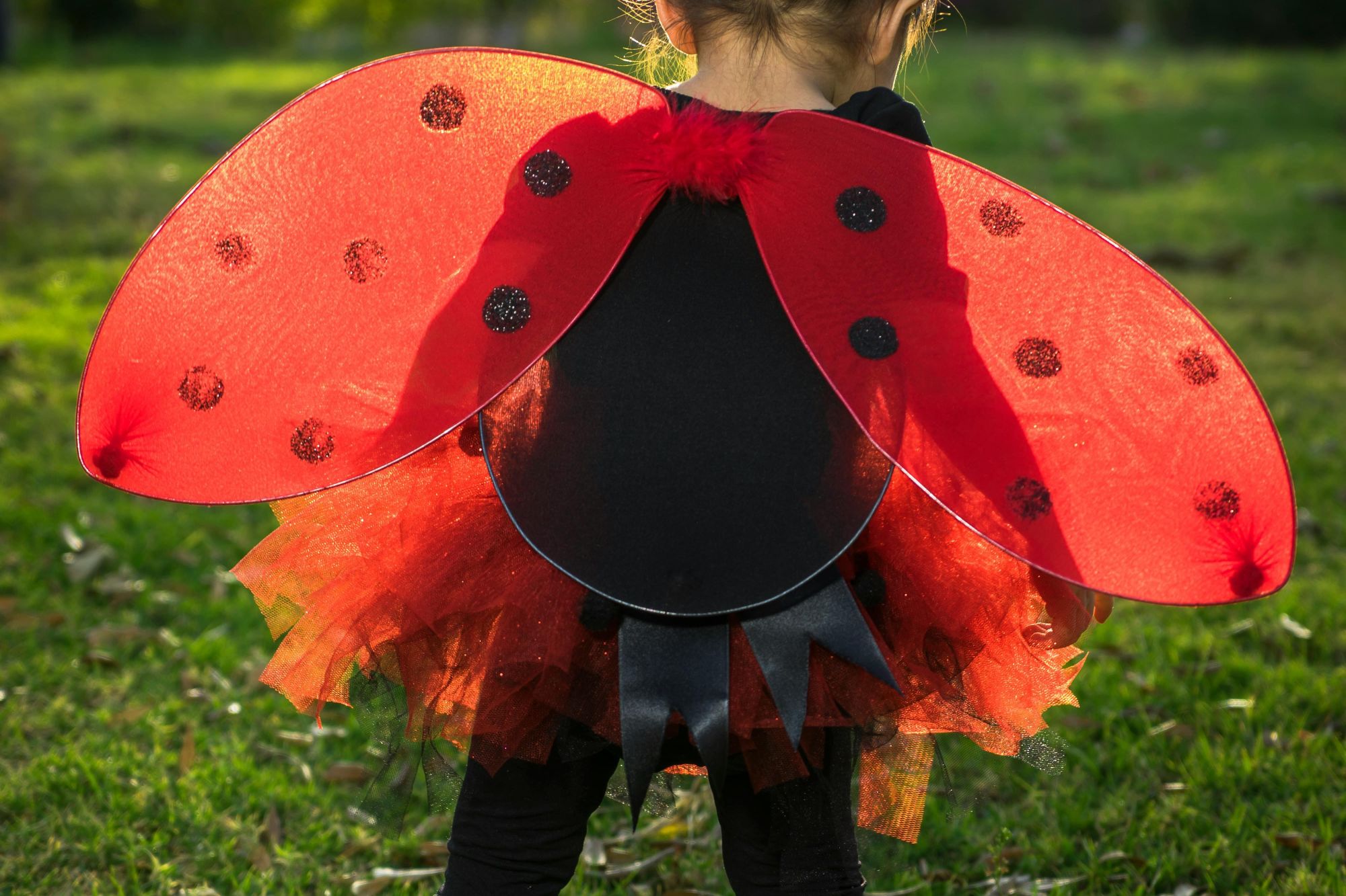 Image related to website content Image related to website content