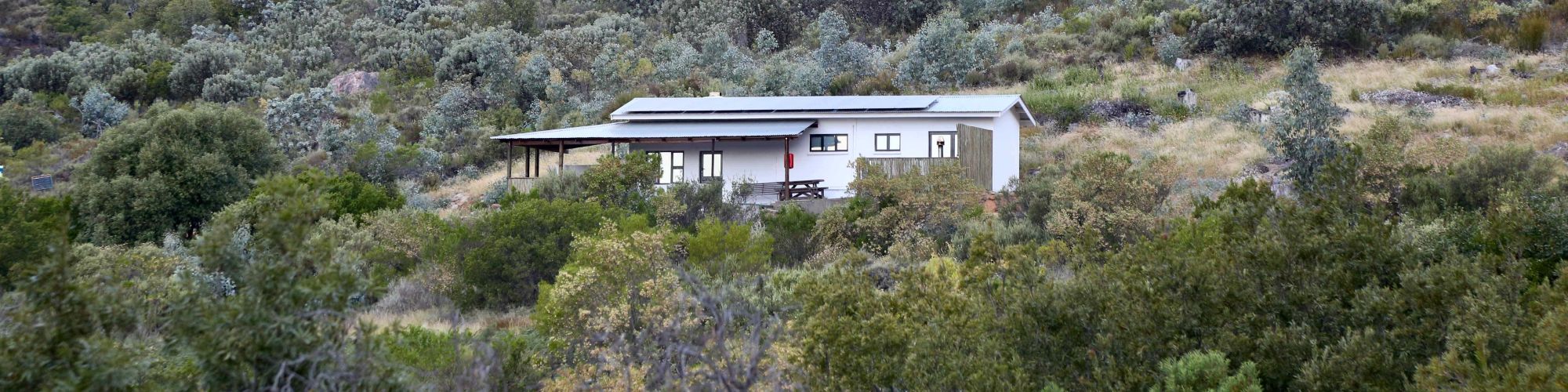 Property 1 Property 1