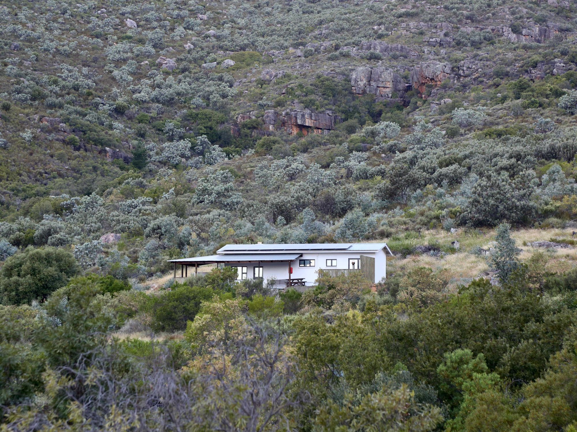 Property 1 Property 1