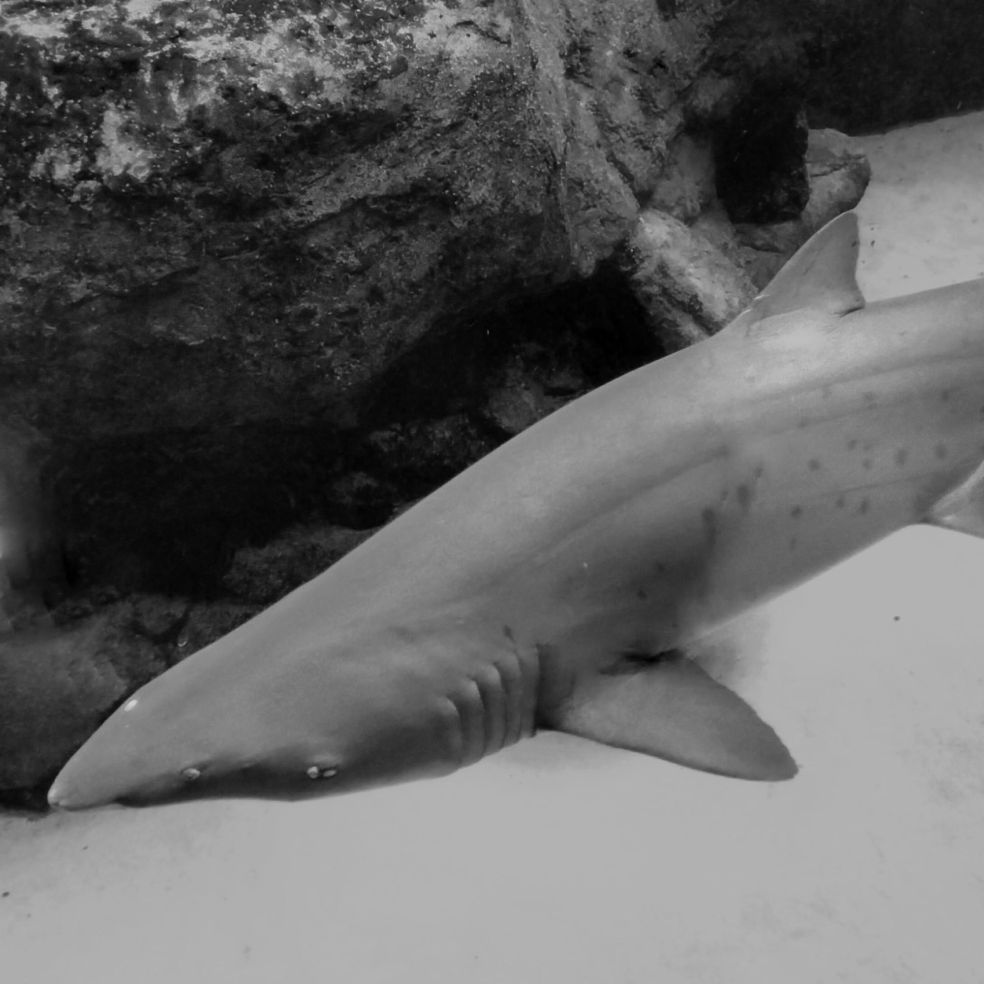 Image related to website content Image related to website content