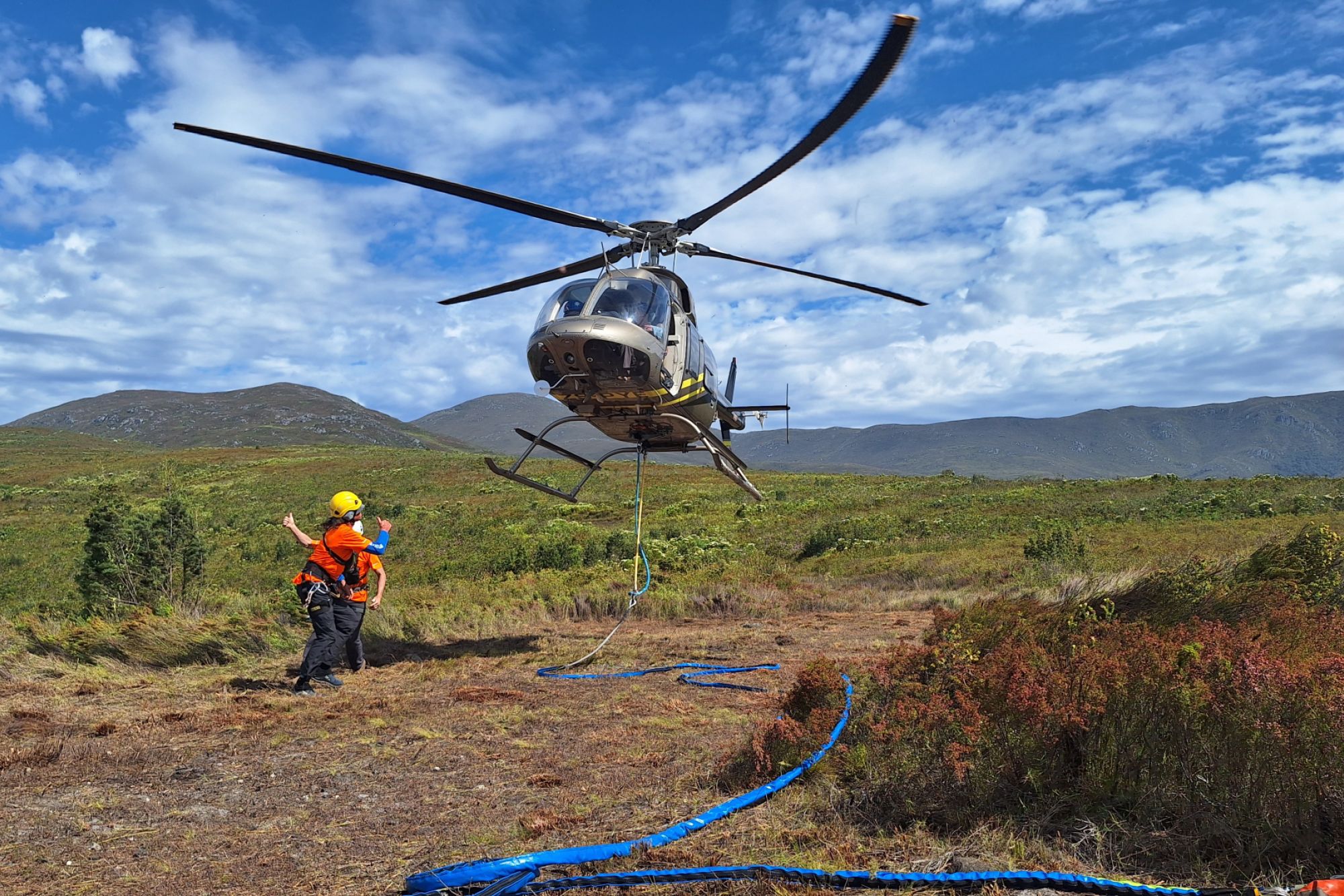 Record breaking pine clearing helihack Record breaking pine clearing helihack
