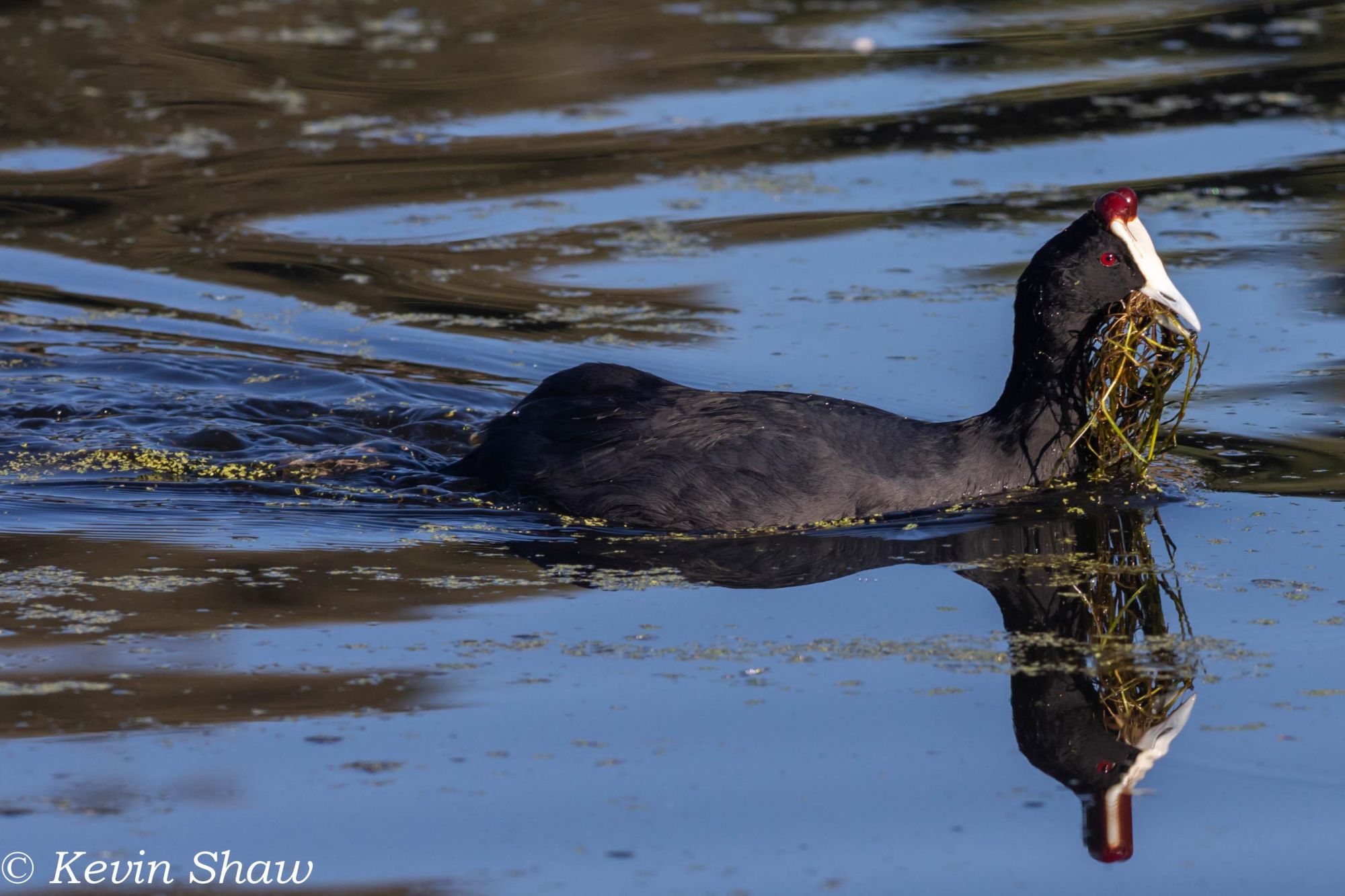 Image related to website content Image related to website content