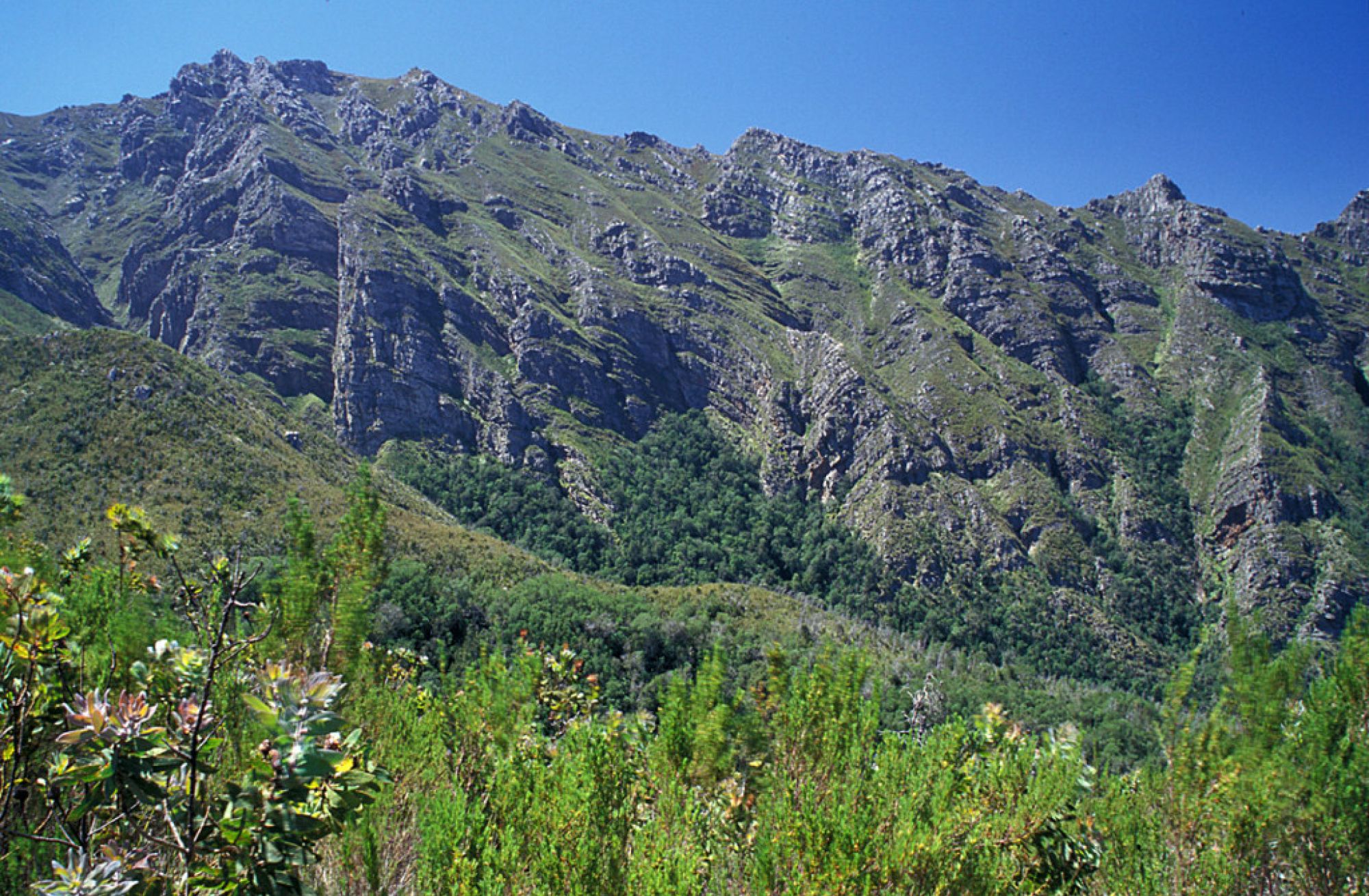 Image related to website content