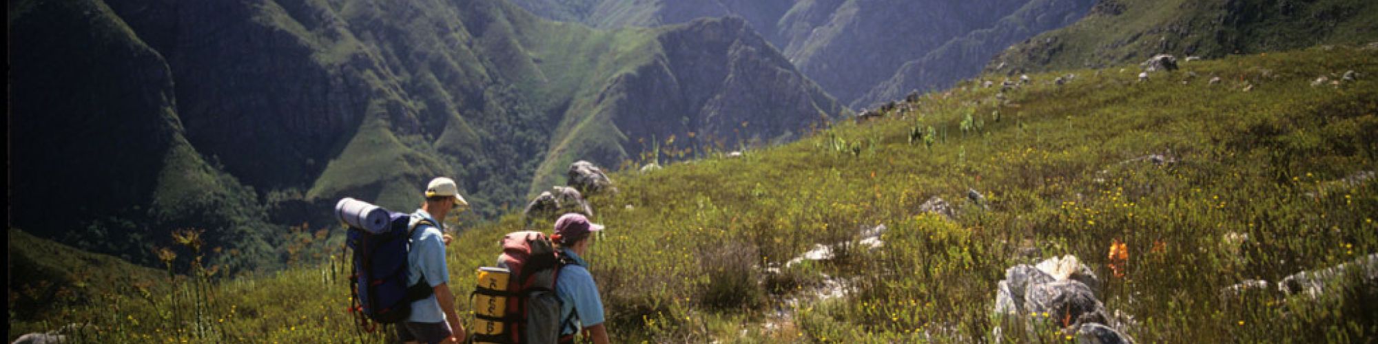 Boosmansbos Wilderness 2 1024x659 Boosmansbos Wilderness 2 1024x659