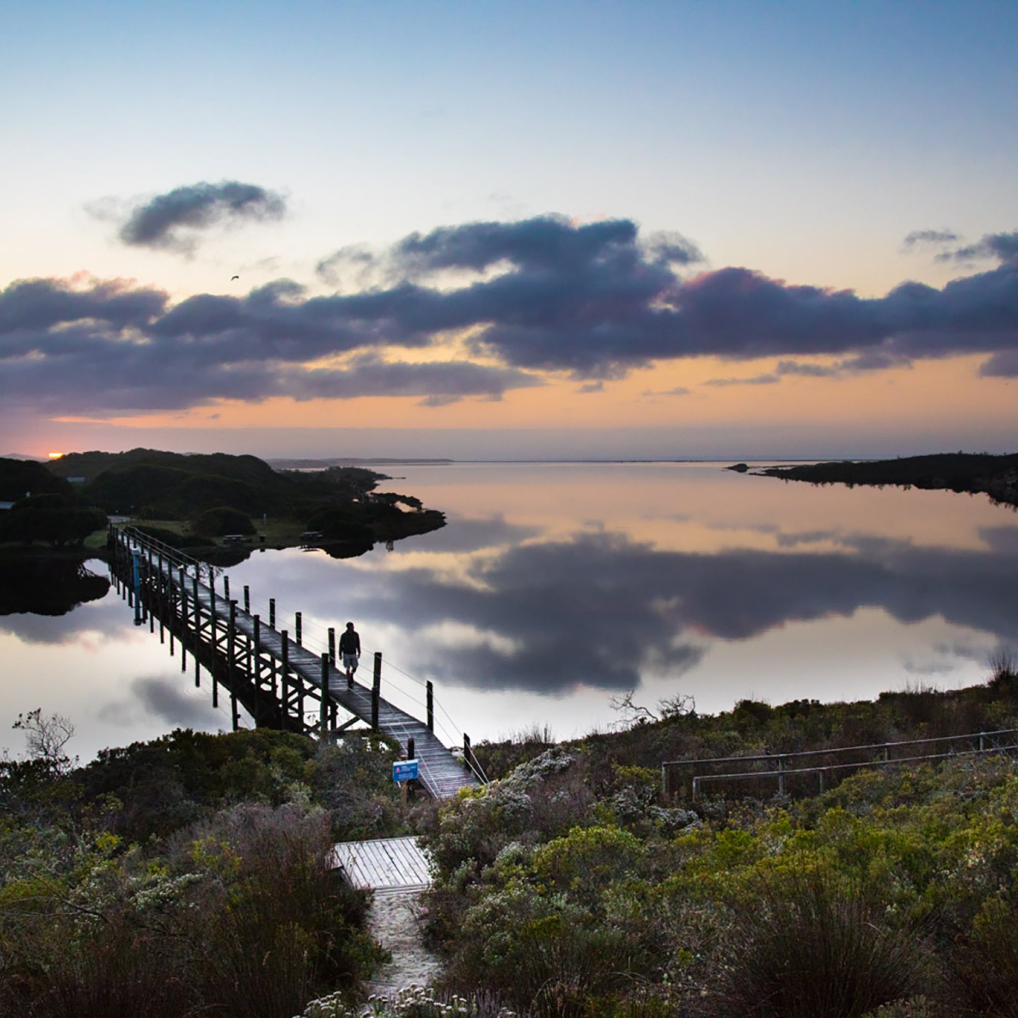 De Mond Nature Reserve Scott Ramsay 195 De Mond Nature Reserve Scott Ramsay 195