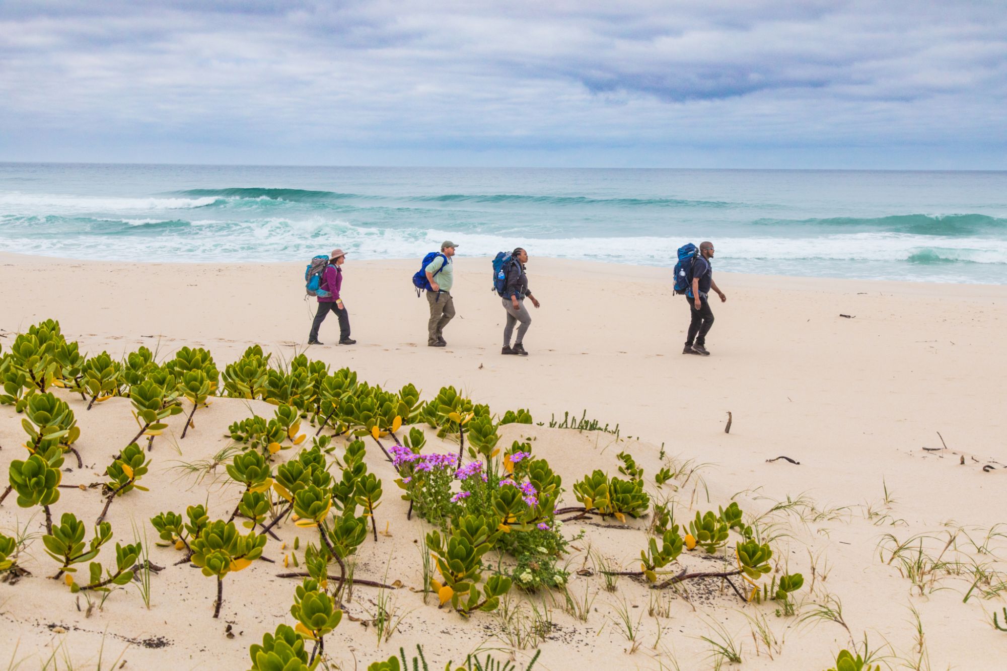 Image related to website content Image related to website content