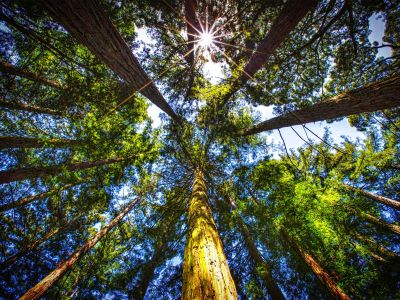 Image related to website content Image related to website content