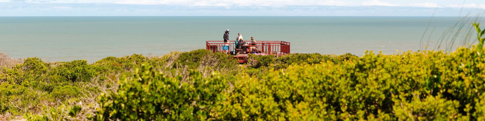 Geelkrans wooden decks from afar Geelkrans wooden decks from afar