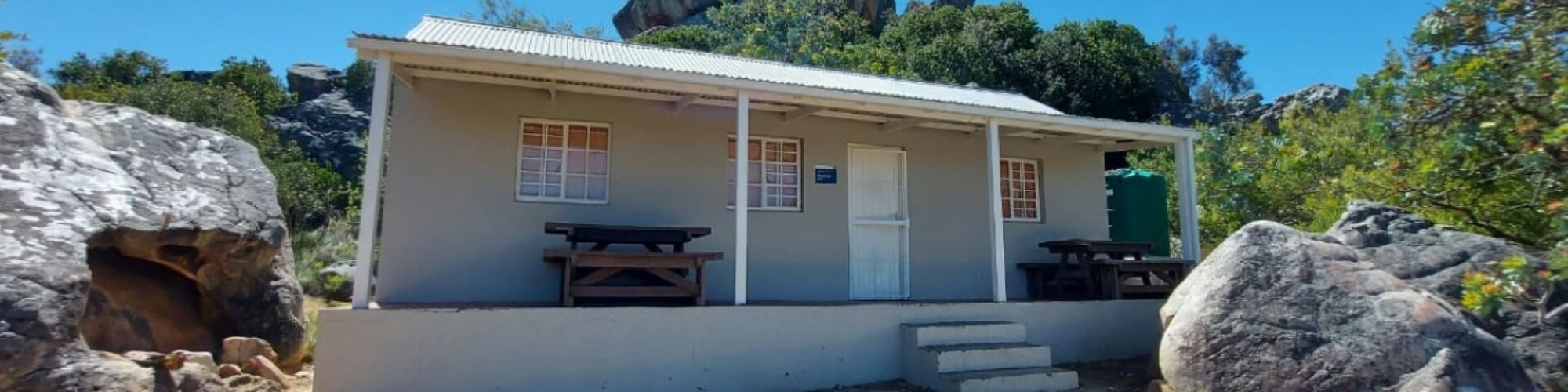 Klipspringer 1 Klipspringer 1