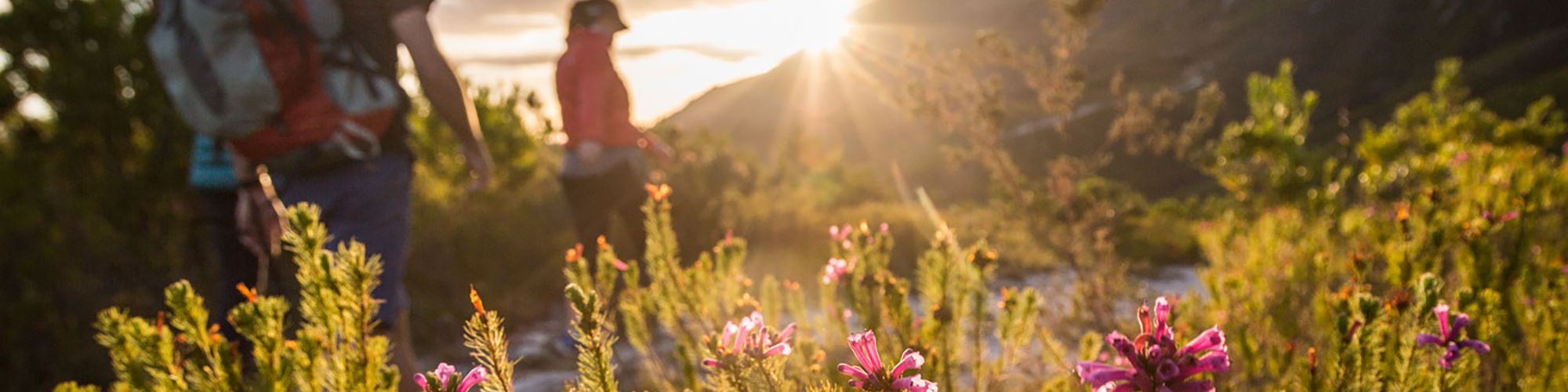 Marloth Nature Reserve Scott Ramsay 177 Marloth Nature Reserve Scott Ramsay 177