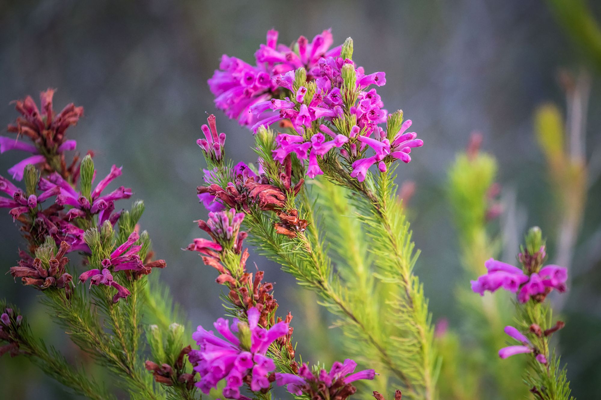 Image related to website content Image related to website content