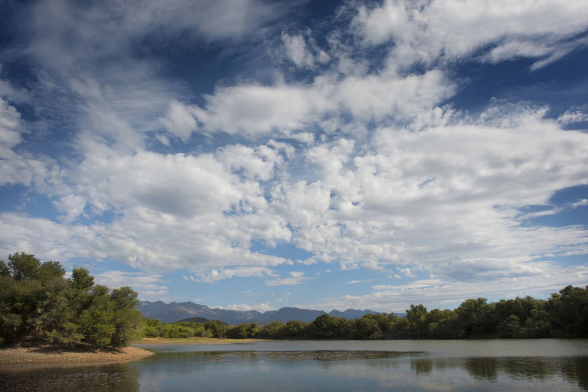 Rv vrolijkheid DSC04640 Rv vrolijkheid DSC04640