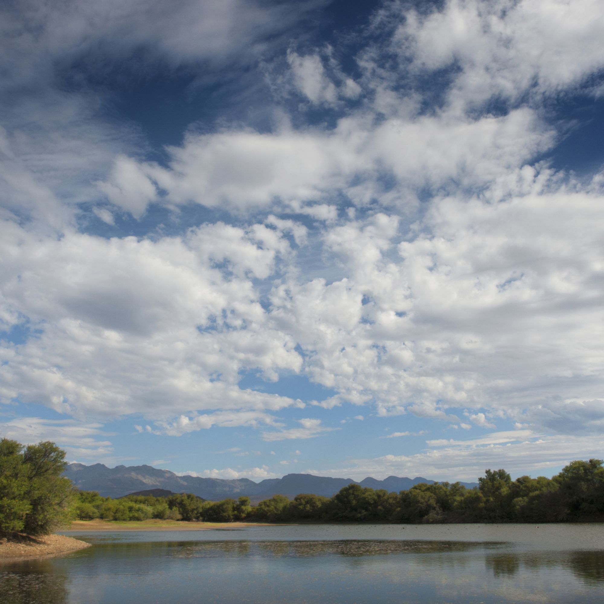 Rv vrolijkheid DSC04640 Rv vrolijkheid DSC04640