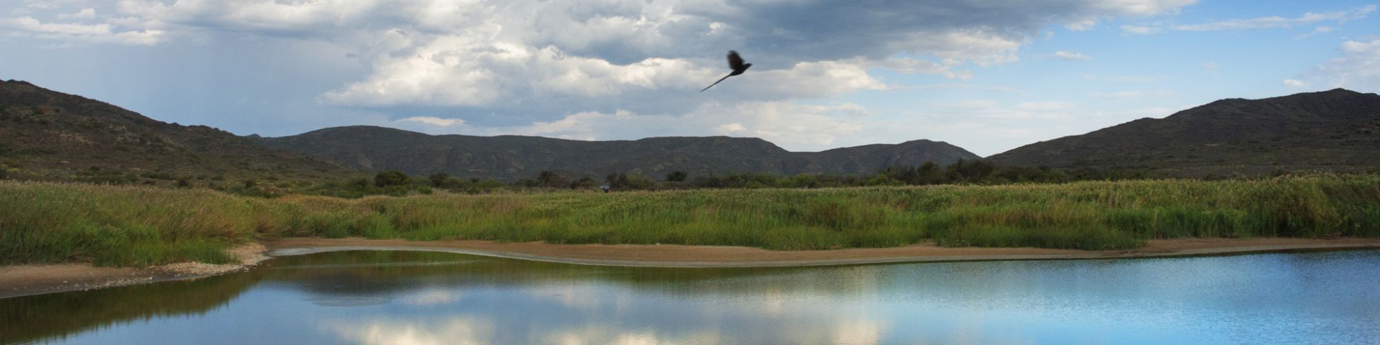 Rv vrolijkheid DSC04769 Rv vrolijkheid DSC04769