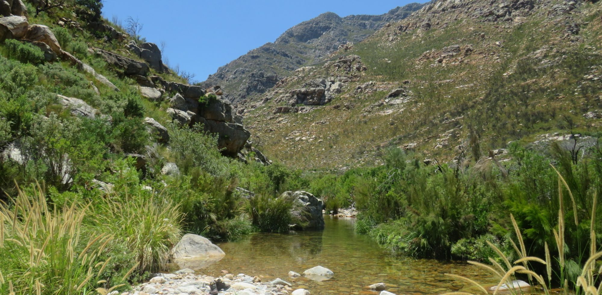 Image related to website content