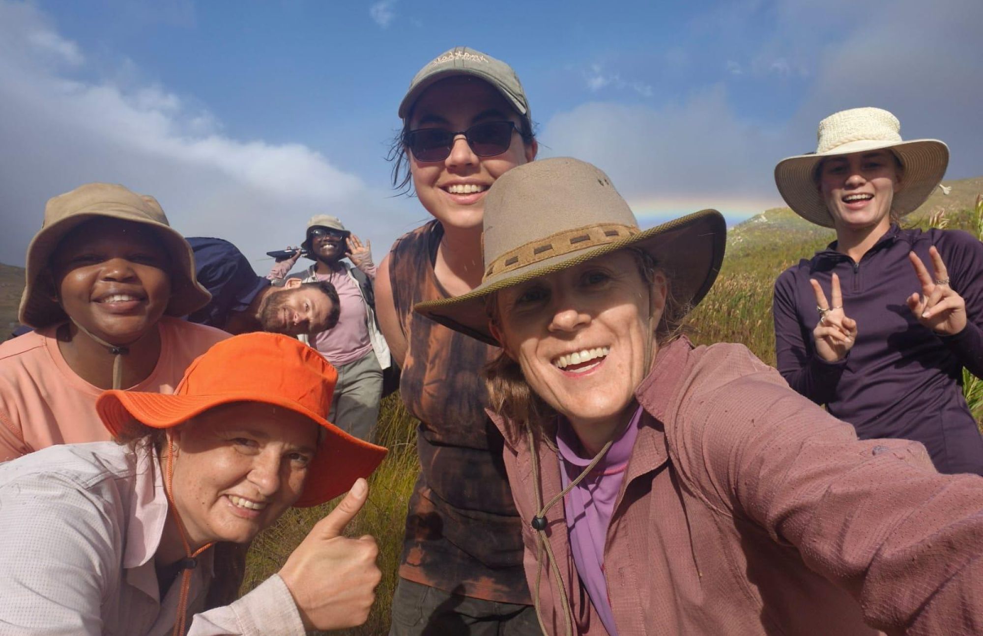 Image related to website content