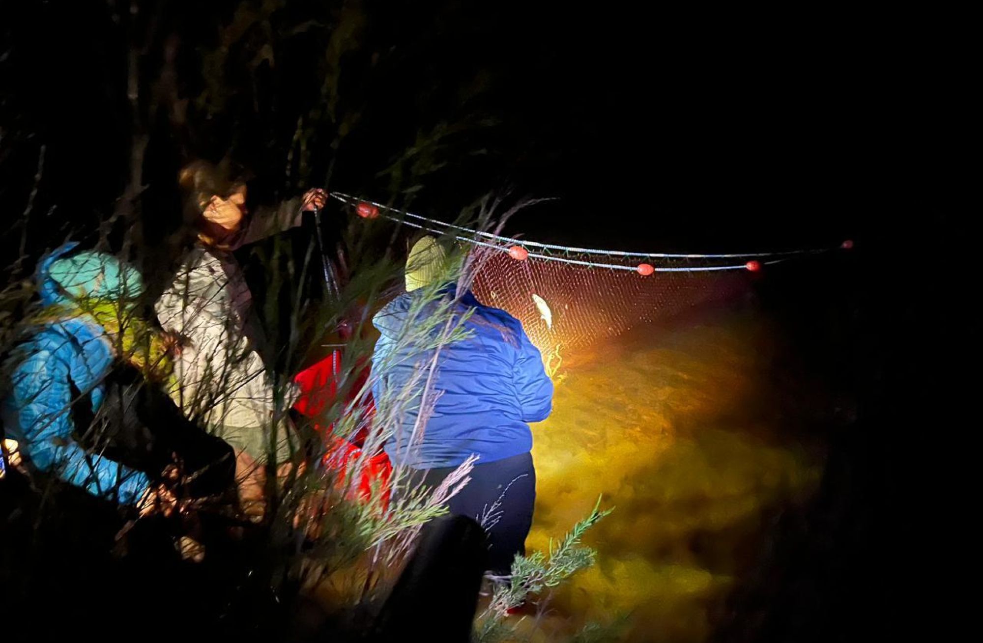 Image related to website content