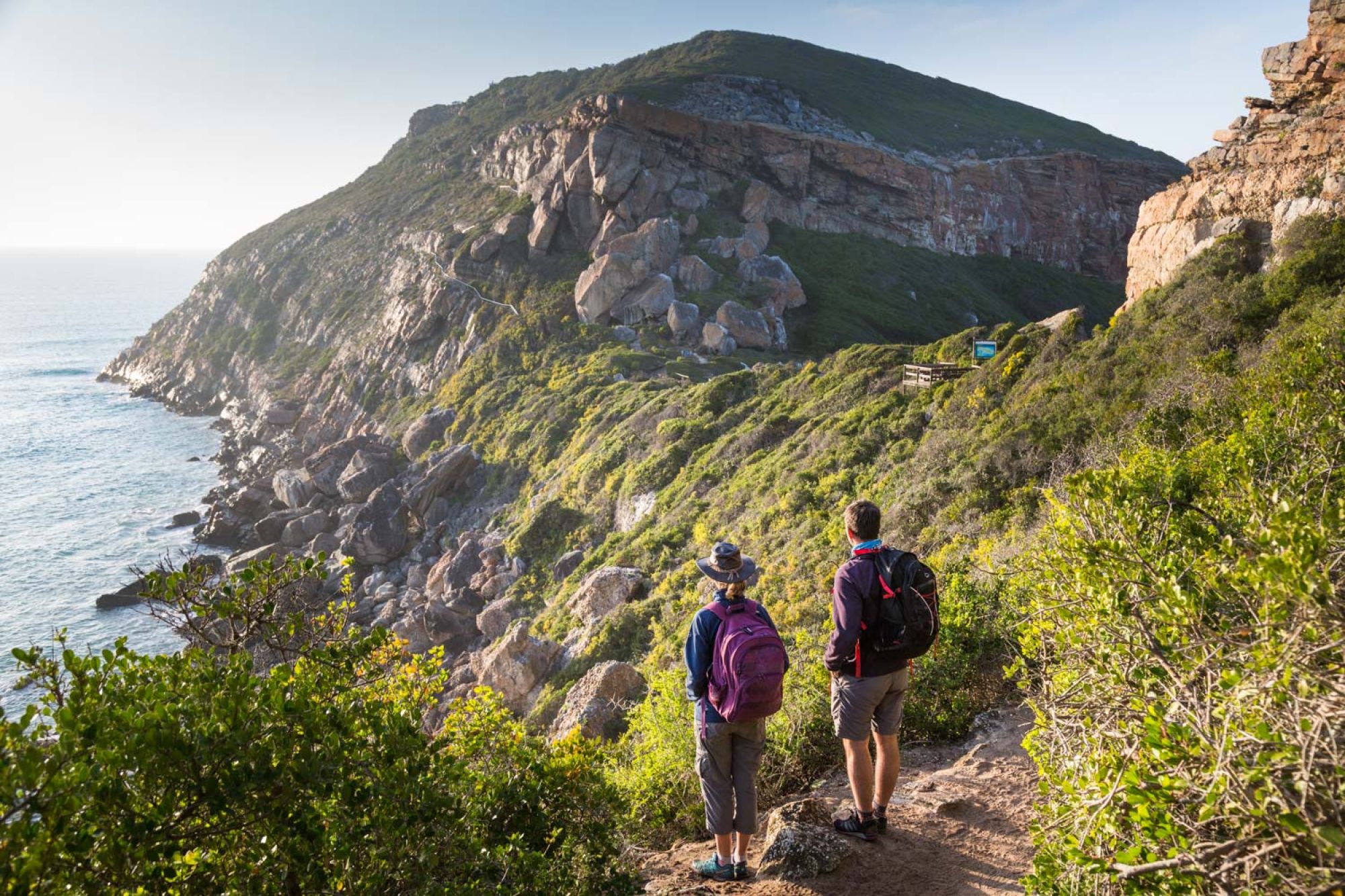 Image related to website content Image related to website content