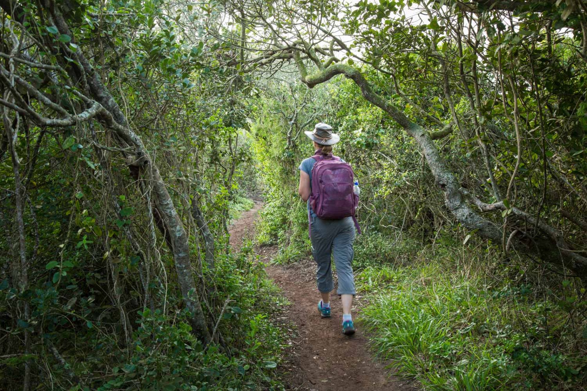 Image related to website content Image related to website content