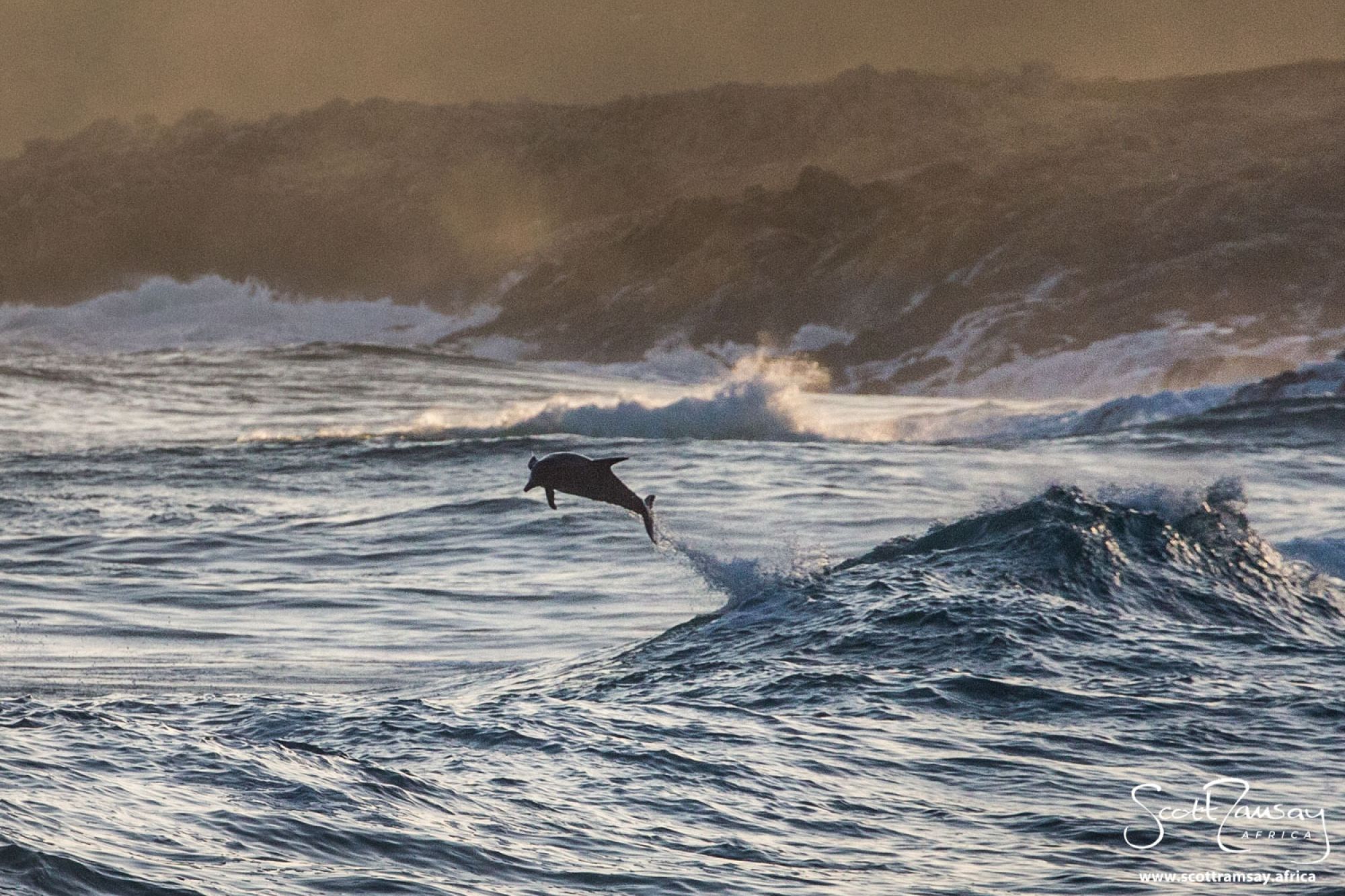 Image related to website content Image related to website content