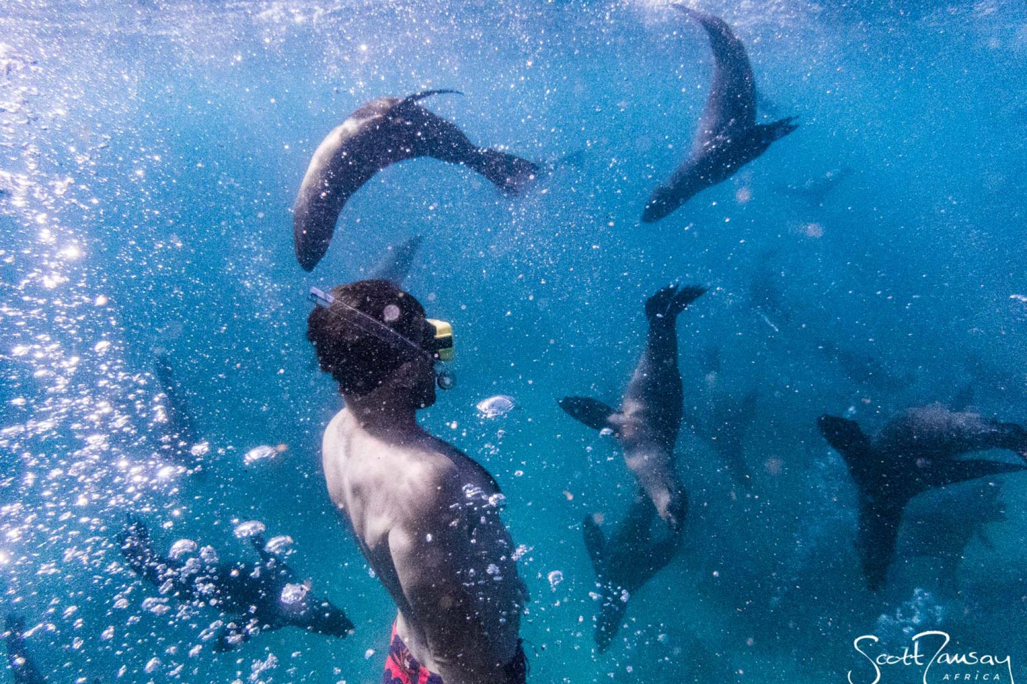 Image related to website content Image related to website content