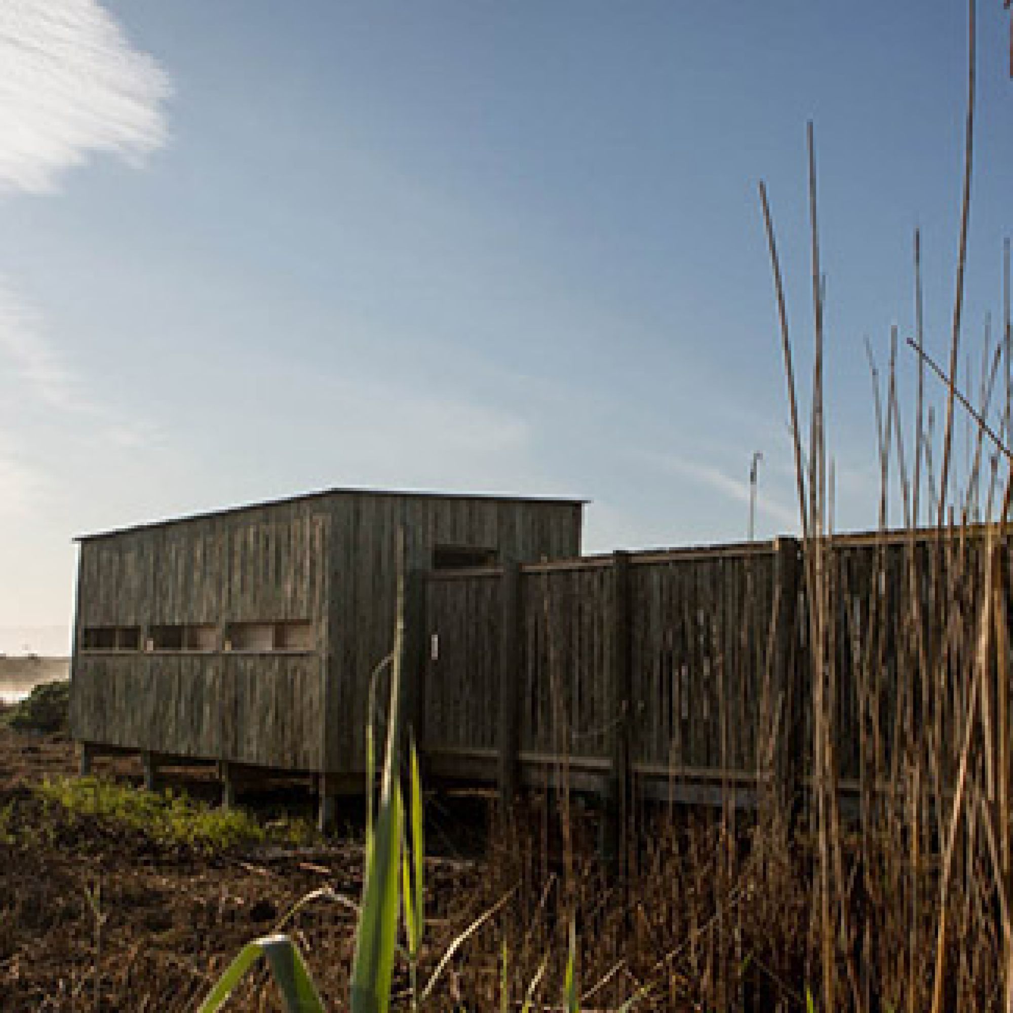 Image related to website content Image related to website content