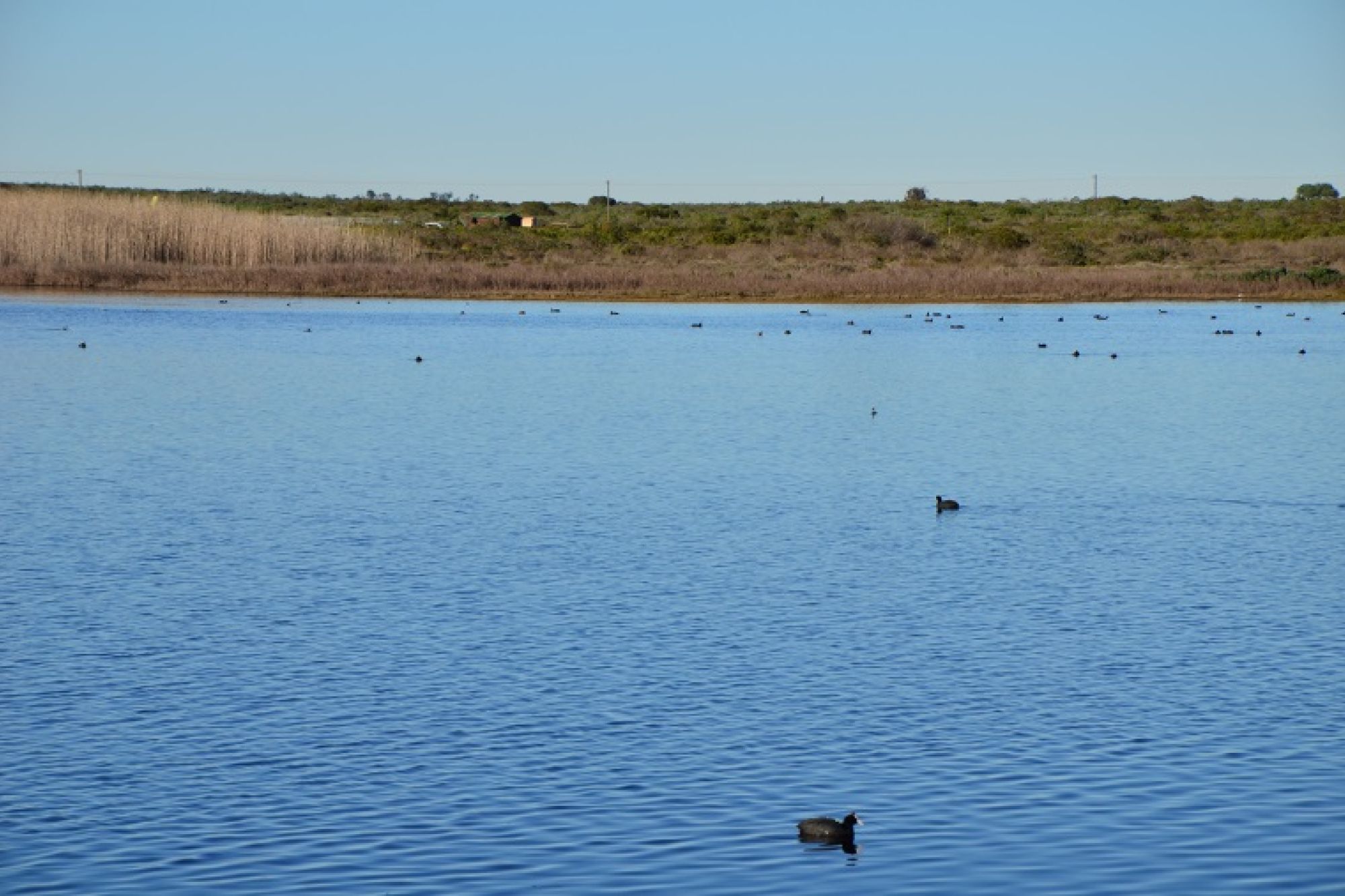 Image related to website content Image related to website content