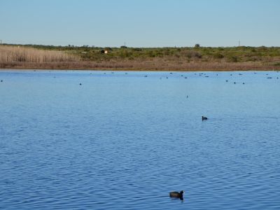 Image related to website content Image related to website content