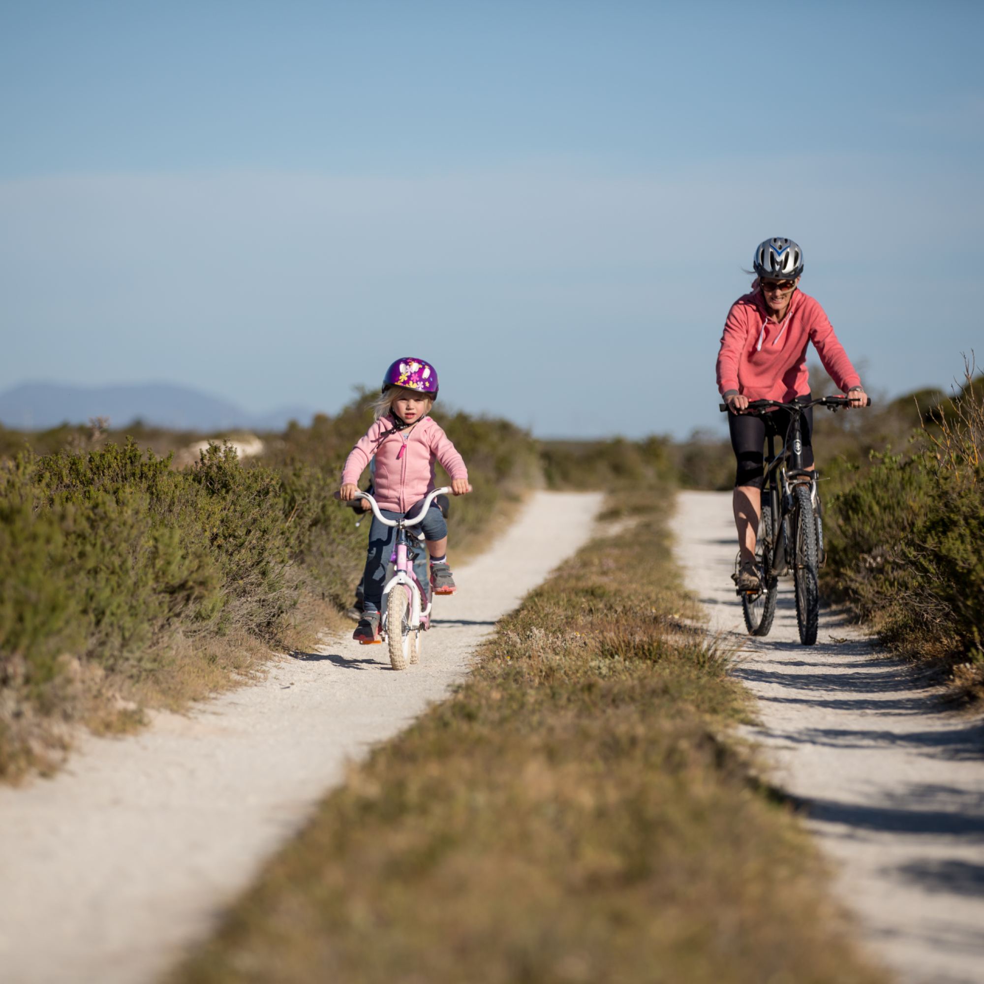 Image related to website content Image related to website content