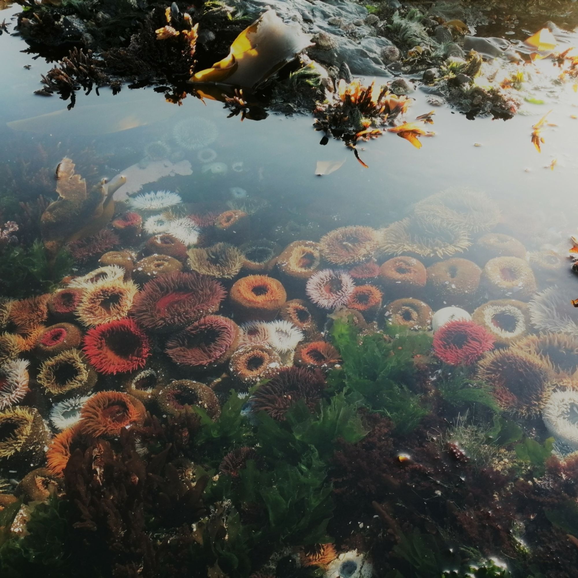 Image related to website content Image related to website content