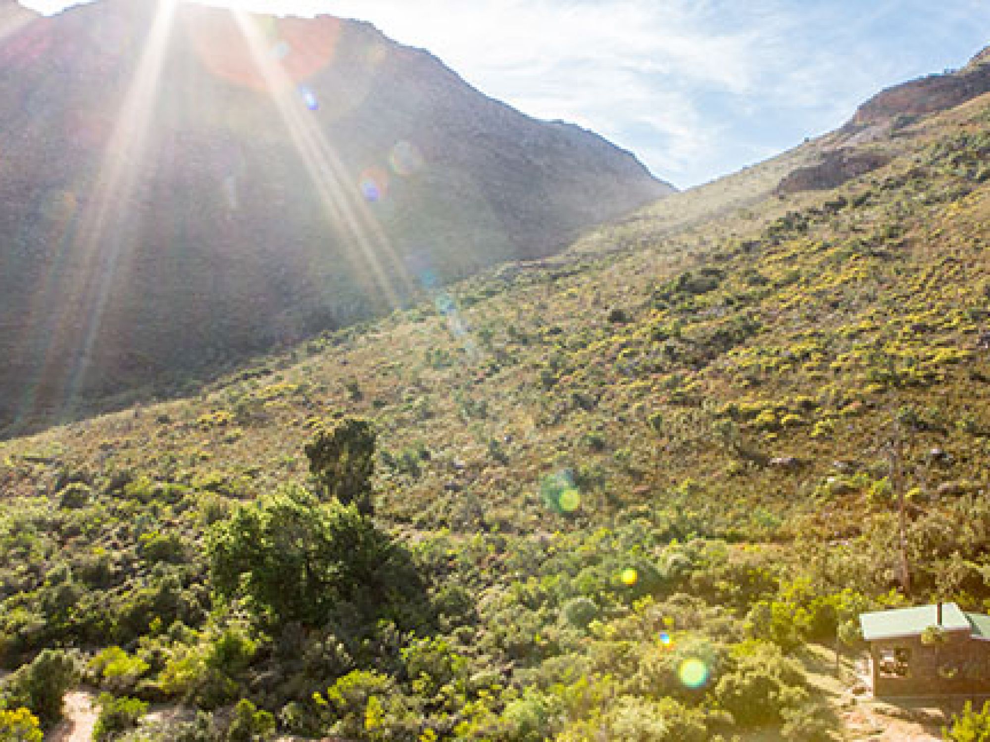 Sas se Verf Feb 2016 1 Sas se Verf Feb 2016 1