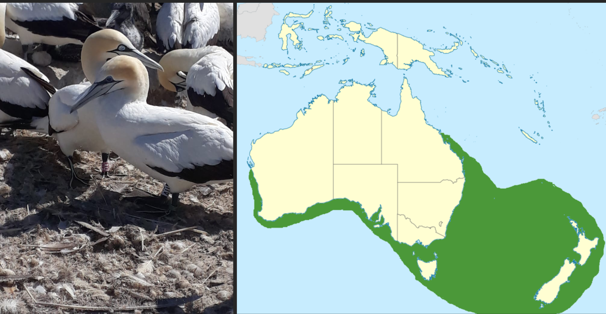 Image related to website content Image related to website content