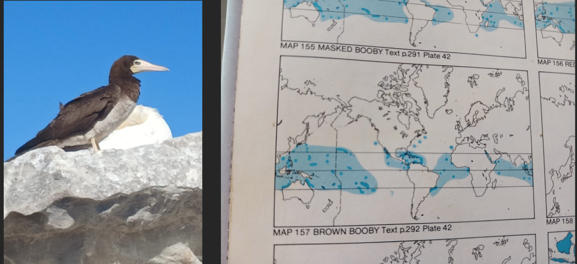 Image related to website content Image related to website content