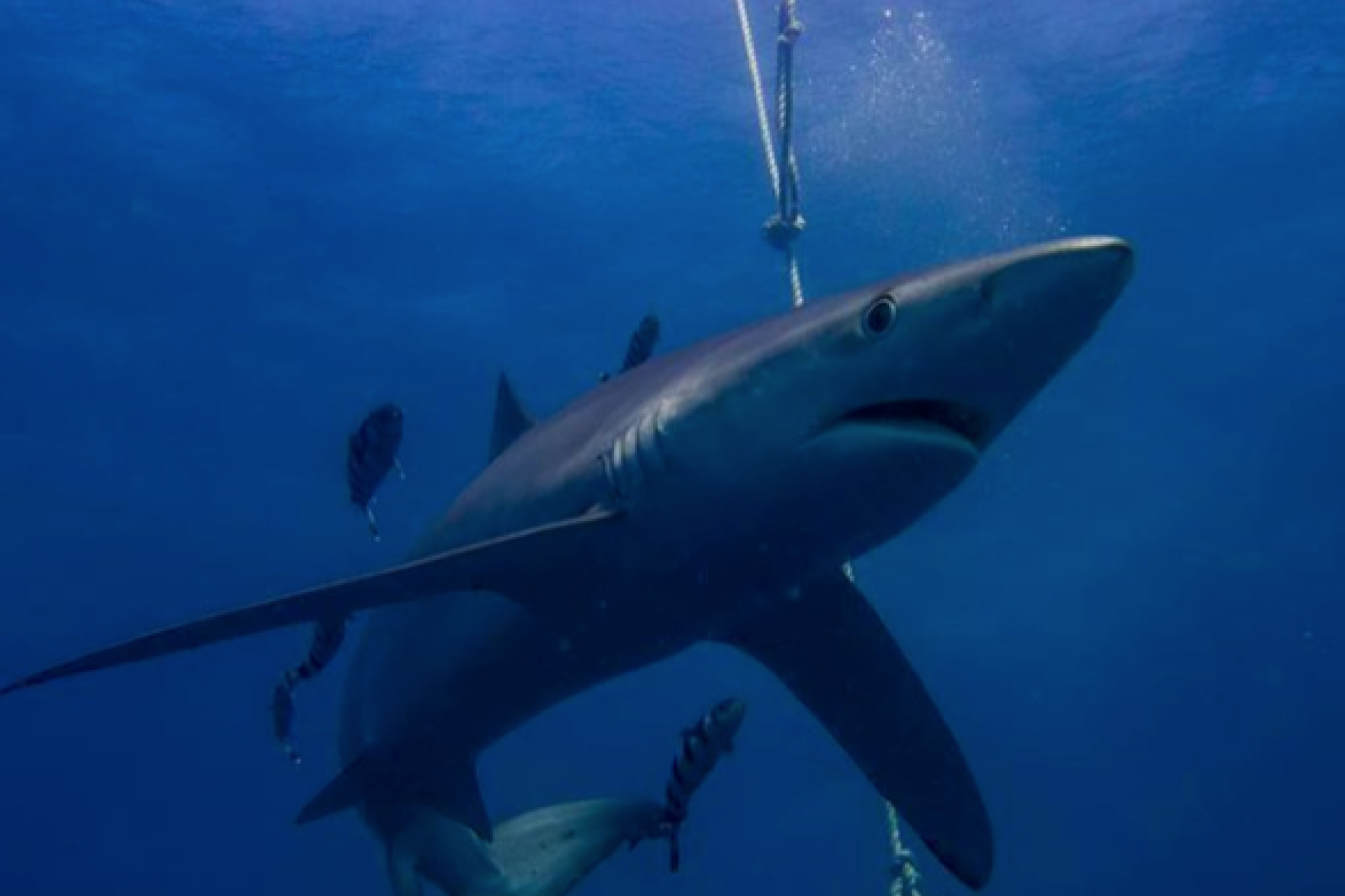 Image related to website content Image related to website content