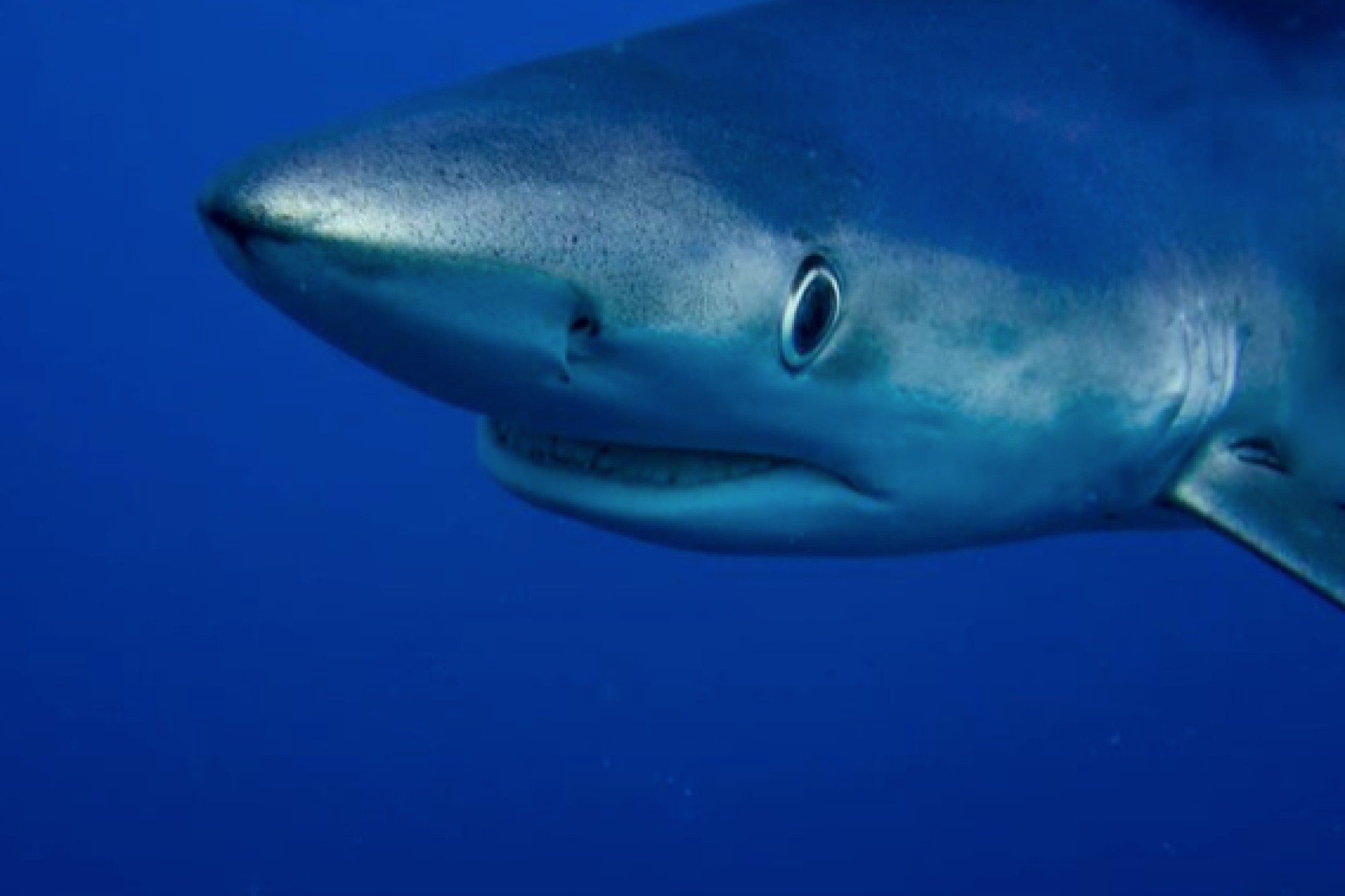 Image related to website content Image related to website content