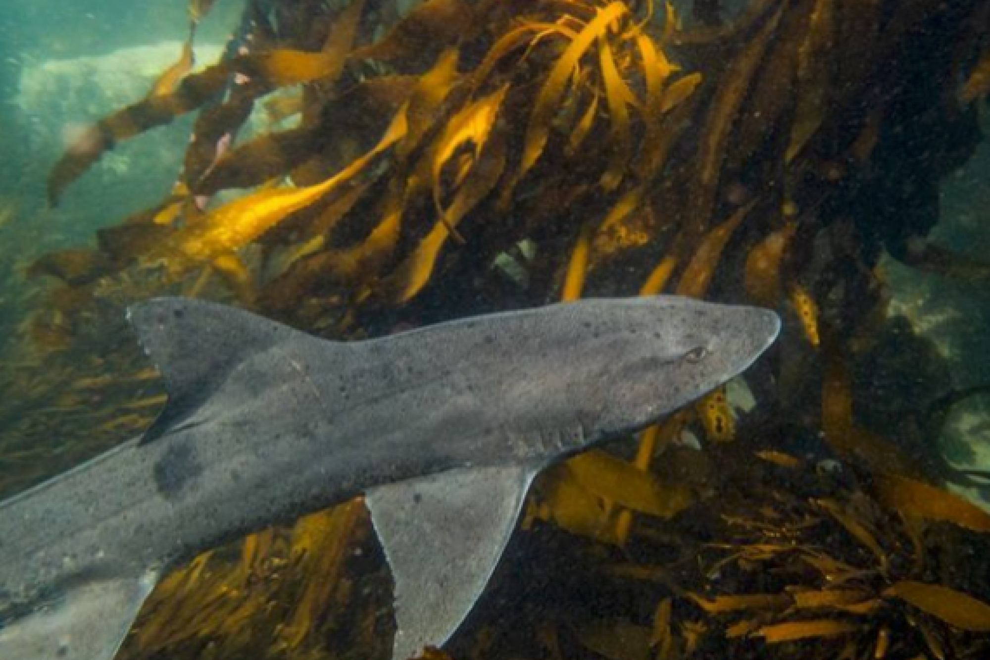 Image related to website content Image related to website content