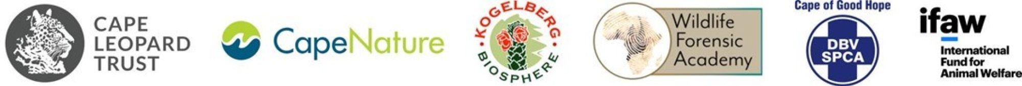 Image related to website content Image related to website content