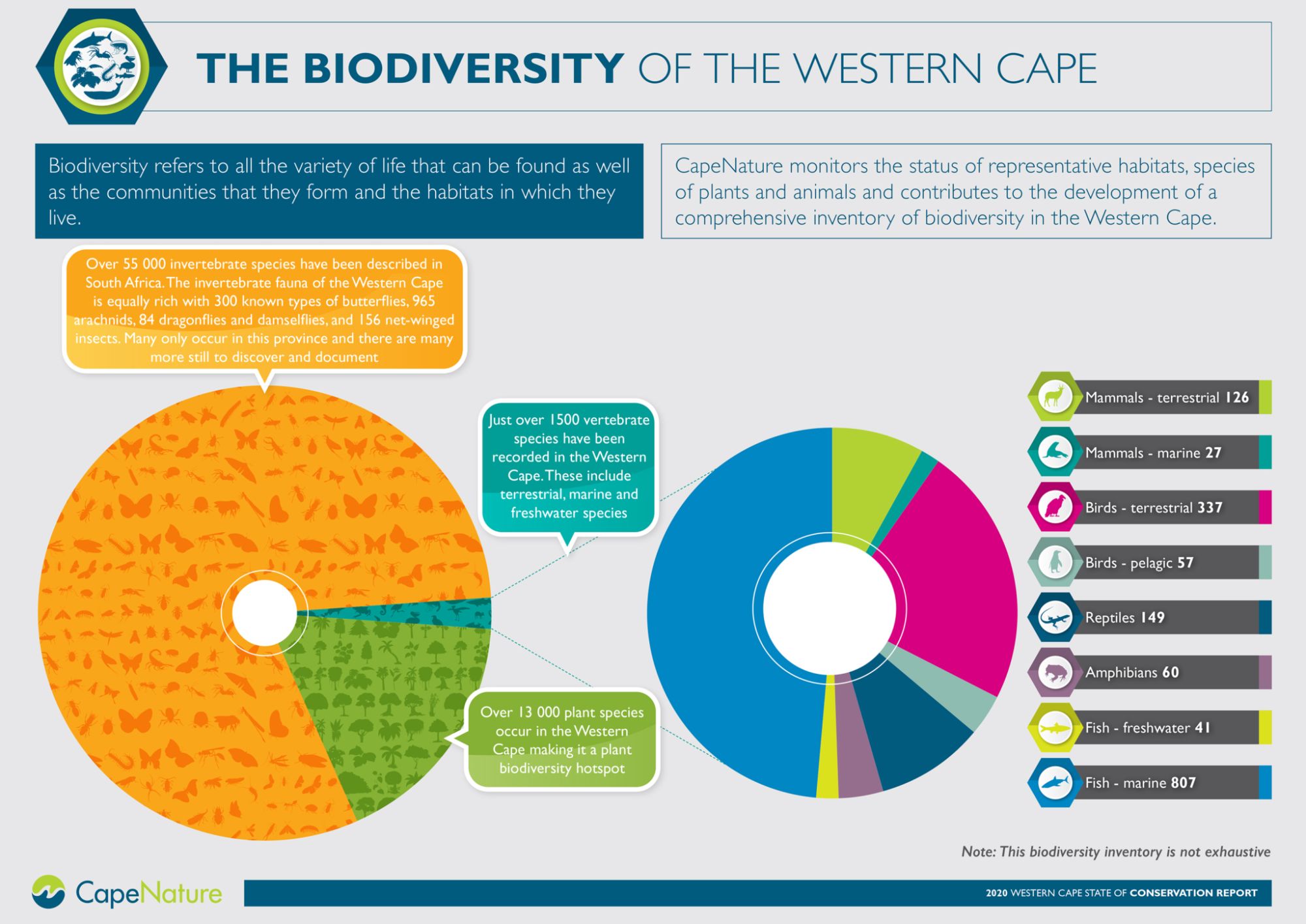 Image related to website content Image related to website content