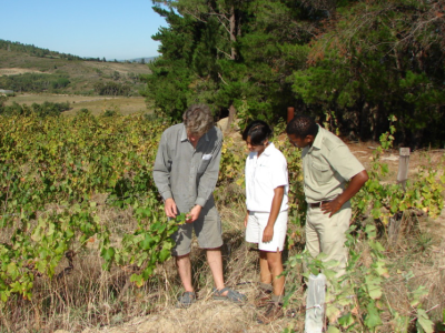 Image related to website content Image related to website content